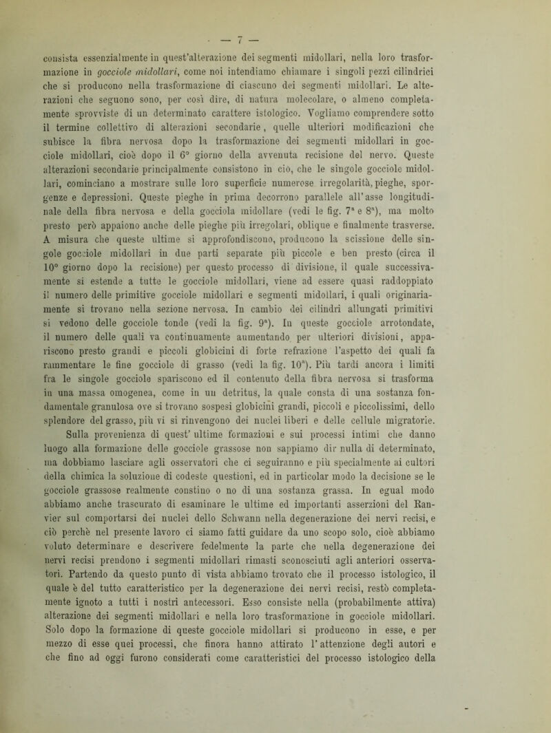 consista essenzialmente in quest’alterazione dei segmenti midollari, nella loro trasfor- mazione in gocciole midollari, come noi intendiamo chiamare i singoli pezzi cilindrici che si producono nella trasformazione di ciascuno dei segmenti midollari. Le alte- razioni che seguono sono, per così dire, di natura molecolare, o almeno compieta- mente sprovviste di un determinato carattere istologico. Vogliamo comprendere sotto il termine collettivo di alterazioni secondarie, quelle ulteriori modificazioni che subisce la fibra nervosa dopo la trasformazione dei segmenti midollari in goc- ciole midollari, cio'e dopo il 6° giorno della avvenuta recisione del nervo. Queste alterazioni secondarie principalmente consistono in ciò, che le singole gocciole midol- lari, cominciano a mostrare sulle loro superficie numerose irregolarità, pieghe, spor- genze e depressioni. Queste pieghe in prima decorrono parallele all’asse longitudi- nale della fibra nervosa e della gocciola midollare (vedi le fig. 71 e 8a), ma molto presto però appaiono anche delle pieghe più irregolari, oblique e finalmente trasverse. A misura che queste ultime si approfondiscono, producono la scissione delle sin- gole gocciole midollari in due parti separate più piccole e ben presto (circa il 10° giorno dopo la recisione) per questo processo di divisione, il quale successiva- mente si estende a tutte le gocciole midollari, viene ad essere quasi raddoppiato il numero delle primitive gocciole midollari e segmenti midollari, i quali originaria- mente si trovano nella sezione nervosa. In cambio dei cilindri allungati primitivi si vedono delle gocciole tonde (vedi la fig. 9a). lu queste gocciole arrotondate, il numero delle quali va continuamente aumentando per ulteriori divisioni, appa- riscono presto graudi e piccoli globiciui di forte refrazione l’aspetto dei quali fa rammentare le fine gocciole di grasso (vedi la fig. 10a). Piu tardi ancora i limiti fra le singole gocciole spariscono ed il contenuto della fibra nervosa si trasforma in una massa omogenea, come in un detritus, la quale consta di una sostanza fon- damentale granulosa ove si trovano sospesi globicini grandi, piccoli e piccolissimi, dello splendore del grasso, più vi si rinvengono dei nuclei liberi e delle cellule migratorie. Sulla provenienza di quest’ ultime formazioni e sui processi intimi che danno luogo alla formazione delle gocciole grassose non sappiamo dir nulla di determinato, ma dobbiamo lasciare agli osservatori che ci seguiranno e piu specialmente ai cultori della chimica la soluzione di codeste questioni, ed in particolar modo la decisione se le gocciole grassose realmente constino o no di una sostanza grassa. In egual modo abbiamo anche trascurato di esaminare le ultime ed importanti asserzioni del Ran- vier sul comportarsi dei nuclei dello Schwann nella degenerazione dei nervi recisi, e ciò perchè nel presente lavoro ci siamo fatti guidare da uno scopo solo, cioè abbiamo voluto determinare e descrivere fedelmente la parte che nella degenerazione dei nervi recisi prendono i segmenti midollari rimasti sconosciuti agli anteriori osserva- tori. Partendo da questo punto di vista abbiamo trovato che il processo istologico, il quale è del tutto caratteristico per la degenerazione dei nervi recisi, restò compieta- mente ignoto a tutti i nostri antecessori. Esso consiste nella (probabilmente attiva) alterazione dei segmenti midollari e nella loro trasformazione in gocciole midollari. Solo dopo la formazione di queste gocciole midollari si producono in esse, e per mezzo di esse quei processi, che finora hanno attirato 1’ attenzione degli autori e che fino ad oggi furono considerati come caratteristici del processo istologico della