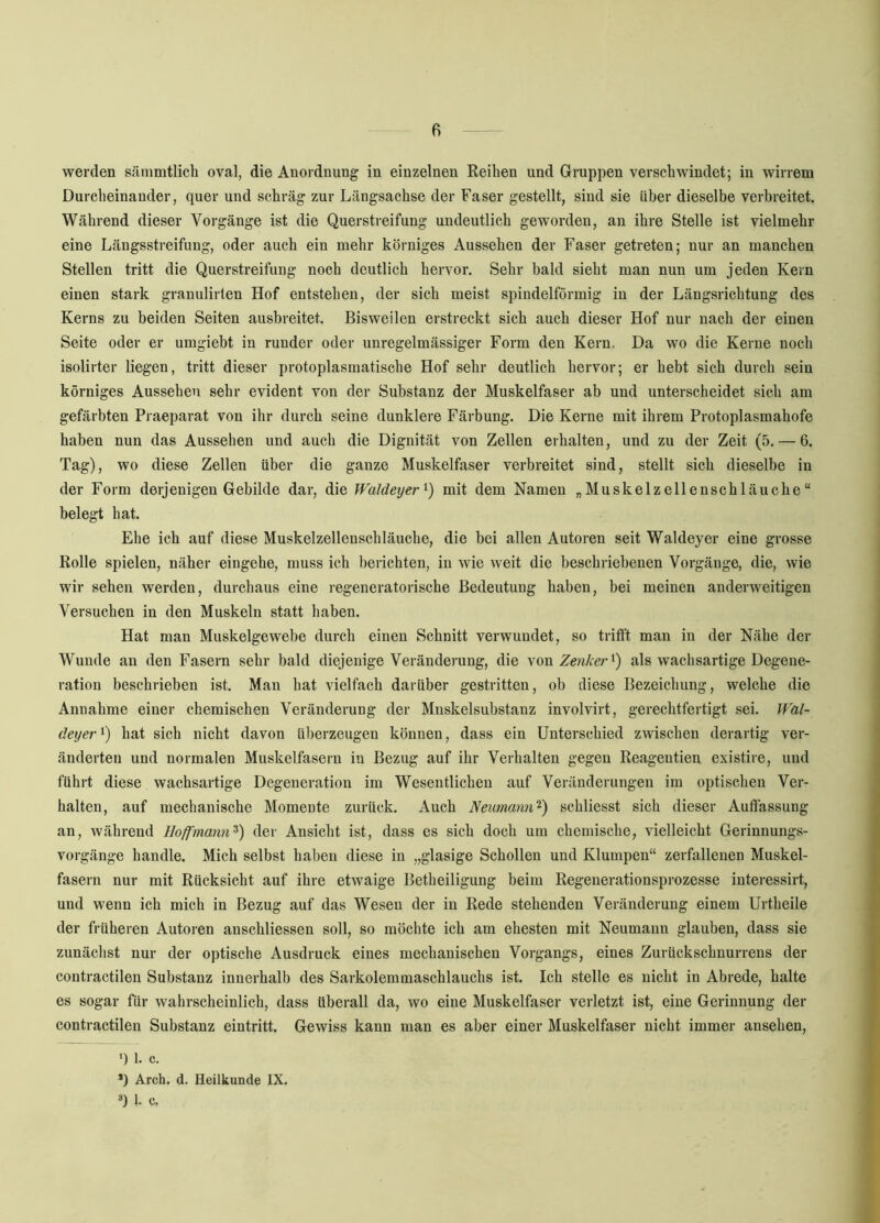 werden sänimtlich oval, die Anordnung in einzelnen Reihen und Gruppen verschwindet; in wirrem Durcheinander, quer und schräg zur Längsachse der Faser gestellt, sind sie über dieselbe verbreitet. Während dieser Vorgänge ist die Querstreifung undeutlich geworden, an ihre Stelle ist vielmehr eine Längsstreifung, oder auch ein mehr körniges Aussehen der Faser getreten; nur an manchen Stellen tritt die Querstreifung noch deutlich hervor. Sehr bald sieht man nun um jeden Kern einen stark granulirten Hof entstehen, der sich meist spindelförmig in der Längsrichtung des Kerns zu beiden Seiten ausbreitet. Bisweilen erstreckt sich auch dieser Hof nur nach der einen Seite oder er umgiebt in runder oder unregelmässiger Form den Kern, Da wo die Keine noch isolirter liegen, tritt dieser protoplasmatische Hof sehr deutlich hervor; er hebt sich durch sein körniges Aussehen sehr evident von der Substanz der Muskelfaser ab und unterscheidet sich am gefärbten Praeparat von ihr durch seine dunklere Färbung. Die Kerne mit ihrem Protoplasmahofe haben nun das Aussehen und auch die Dignität von Zellen erhalten, und zu der Zeit (5. — 6. Tag), wo diese Zellen über die ganze Muskelfaser verbreitet sind, stellt sich dieselbe in der Form derjenigen Gebilde dar, die Waldeyer^) mit dem Namen „Muskelzellenschläuche“ belegt hat. Ehe ich auf diese Muskelzellenschläuche, die bei allen Autoren seit Waldeyer eine grosse Rolle spielen, näher eingehe, muss ich berichten, in wie weit die beschriebenen Vorgänge, die, wie wir sehen werden, durchaus eine regeneratorische Bedeutung haben, bei meinen anderweitigen Versuchen in den Muskeln statt haben. Hat man Muskelgewebe durch einen Schnitt verwundet, so tritft man in der Nähe der Wunde an den Fasern sehr bald diejenige Veränderung, die von Ze^iker^) als wachsartige Degene- ration beschrieben ist. Man hat vielfach darüber gestritten, ob diese Bezeichung, welche die Annahme einer chemischen Veränderung der Mnskelsubstanz involvirt, gerechtfertigt sei. Wal- deyer') hat sich nicht davon überzeugen können, dass ein Unterschied zwischen derartig ver- änderten und normalen Muskelfasern in Bezug auf ihr Verhalten gegen Reagentien existire, und führt diese wachsartige Degeneration im Wesentlichen auf Veränderungen im optischen Ver- halten, auf mechanische Momente zurück. Auch Neumann'^) schliesst sich dieser Auflassung an, während Hoffmann'^') der Ansicht ist, dass es sich doch um chemische, vielleicht Gerinnungs- vorgänge handle. Mich selbst haben diese in „glasige Schollen und Klumpen“ zerfallenen Muskel- fasern nur mit Rücksicht auf ihre etwaige Betheiligung beim Regenerationsprozesse interessirt, und wenn ich mich in Bezug auf das Wesen der in Rede stehenden Veränderung einem Urtheile der früheren Autoren anschliessen soll, so möchte ich am ehesten mit Neumann glauben, dass sie zunächst nur der optische Ausdruck eines mechanischen Vorgangs, eines Zurückschnurrens der coutractilen Substanz innerhalb des Sarkolemmaschlauchs ist. Ich stelle es nicht in Abrede, halte es sogar für wahrscheinlich, dass überall da, wo eine Muskelfaser verletzt ist, eine Gerinnung der contractilen Substanz eintritt. Gewiss kann man es aber einer Muskelfaser nicht immer ansehen. ') 1. c. *) Arch. d. Heilkunde IX. *) 1. c.