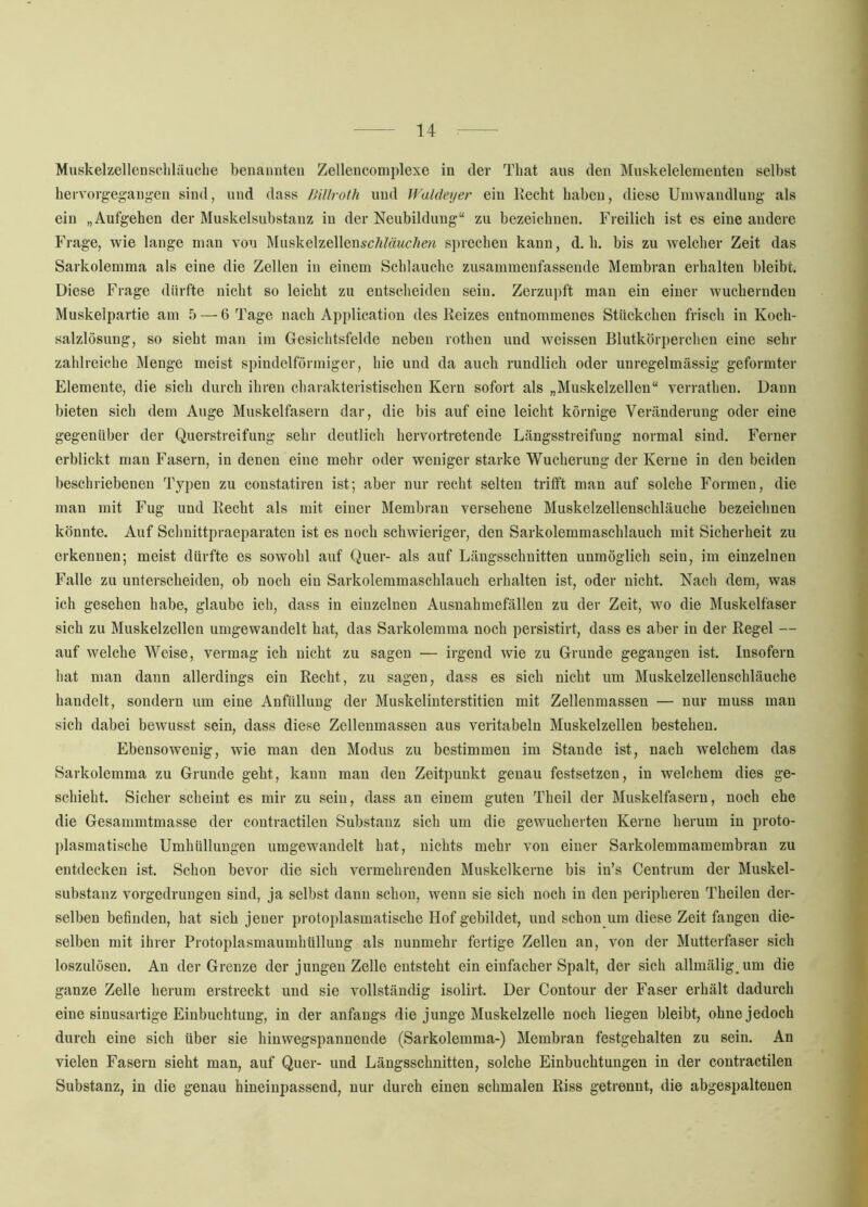 Muskelzellenschläuclie benannten Zellencoraplexe in der That aus den Muskelelenienten selbst bervorgegaugen sind, und dass Billroth und Waldeyer eiu Ilecbt haben, diese Umwandlung als ein „Aufgehen der Muskelsubstanz in der Neubildung“ zu bezeichnen. Freilich ist es eine andere Frage, wie lange man von Muskelzellen^cÄ/äMCÄm sprechen kann, d. h. bis zu welcher Zeit das Sarkolemma als eine die Zellen in einem Schlauche zusammeufassende Membran erhalten bleibt. Diese Frage dürfte nicht so leicht zu entscheiden sein. Zerzupft mau ein einer wuchernden Muskelpartie am 5 — 6 Tage nach Application des Keizes entnommenes Stückchen frisch in Koch- salzlösung, so sieht man im Gesichtsfelde neben rotheu und weissen Blutkörperchen eine sehr zalilreiche Menge meist spindelförmiger, hie und da auch rundlich oder unregelmässig geformter Elemente, die sich durch ihren charakteristischen Kern sofort als „Muskelzellen“ verrathen. Dann bieten sich dem Auge Muskelfasern dar, die bis auf eine leicht körnige Veränderung oder eine gegenüber der Querstreifung sehr deutlich hervortretende Längsstreifung normal sind. Ferner erblickt man Fasern, in denen eine mehr oder weniger starke Wucherung der Kerne in den beiden beschriebenen Typen zu constatiren ist; aber nur recht selten trifft man auf solche Formen, die man mit Fug und Eecht als mit einer Membran versehene Muskelzellenschläuche bezeichnen könnte. Auf Schnittpraeparaten ist es noch schwieriger, den Sarkolemmaschlauch mit Sicherheit zu erkennen; meist dürfte es sowohl auf Quer- als auf Längsschnitten unmöglich sein, im einzelnen Falle zu unterscheiden, ob noch ein Sarkolemmaschlauch erhalten ist, oder nicht. Nacli dem, was ich gesehen habe, glaube ich, dass in einzelnen Ausuahmefällen zu der Zeit, wo die Muskelfaser sich zu Muskelzellen umgewandelt hat, das Sarkolemma noch persistirt, dass es aber in der Regel — auf welche Weise, vermag ich nicht zu sagen — irgend wie zu Grunde gegangen ist. Insofern hat man dann allerdings ein Recht, zu sagen, dass es sich nicht um Muskelzellenschläuche handelt, sondern um eine Anfüllung der Muskelinterstitien mit Zellenmassen — nur muss mau sich dabei bewusst sein, dass diese Zelleumassen aus veritabeln Muskelzellen bestehen. Ebensowenig, wie man den Modus zu bestimmen im Stande ist, nach welchem das Sarkolemma zu Grunde geht, kann man den Zeitpunkt genau festsetzen, in welchem dies ge- schieht. Sicher scheint es mir zu sein, dass an einem guten Theil der Muskelfasern, noch ehe die Gesammtmasse der coutractilen Substanz sich um die gewucherten Kerne herum in proto- j)lasmatische Umhüllungen umgewandelt hat, nichts mehr von einer Sarkolemmamembran zu entdecken ist. Schon bevor die sich vermehrenden Muskelkerne bis in’s Centrum der Muskel- substanz vorgedrungeu sind, ja selbst dann schon, wenn sie sich noch in den peripheren Theilen der- selben befinden, hat sich jener protoplasmatische Hof gebildet, und schon um diese Zeit fangen die- selben mit ihrer Protoplasmaumhüllung als nunmehr fertige Zellen an, von der Mutterfaser sich loszulöseu. An der Grenze der jungen Zelle entsteht ein einfacher Spalt, der sich allmälig^um die ganze Zelle herum erstreckt und sie vollständig isolirt. Der Contour der Faser erhält dadurch eine sinusartige Einbuchtung, in der anfangs die junge Muskelzelle noch liegen bleibt, ohne jedoch durch eine sich über sie hinwegspannende (Sarkolemma-) Membran festgehalten zu sein. An vielen Fasern sieht man, auf Quer- und Längsschnitten, solche Einbuchtungen in der coutractilen Substanz, in die genau hineinpassend, nur durch einen schmalen Riss getrennt, die abgespalteuen