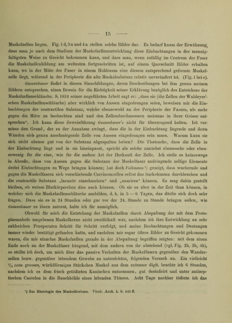 Muskelzellen liegen. Fig. 1 d, 3 a und 4 a stellen solche Bilder dar. Es bedarf kaum der Erwähnung^ dass man je nach dem Stadium der Muskelzellenentwicklung diese Einbuchtungen in der mannig- faltigsten Weise zu Gesicht bekommen kann, und dass man, wenn zufällig im Centrum der Faser die Muskelzelleubildung am weitesten fortgeschritten ist, auf einem Querschnitt Bilder erhalten kann, wo in der Mitte der Faser in einem Hohlraum eine diesem entsprechend geformte Muskel- zelle liegt, während in der Peripherie die alte Muskelsubstanz relativ unverändert ist. (Fig. 1 bei c). Gussenbauer findet in diesen Sinusbildungen, deren Beschreibungen bei ihm genau meinen Bildern entsprechen, einen Beweis für die Richtigkeit seiner Erklärung bezüglich des Entstehens der Muskelzellenschläuche. S. 1034 seiner angeführten Arbeit sagt er: „dass sie (die Zellen der Waldeyer’- schen Muskelzellenschläuche) aber wirklich von Aussen eiugedrungen seien, beweisen mir die Ein- buchtungen der contractilen Substanz, welche ebensowohl an der Peripherie der Fasern, als mehr gegen die Mitte zu beobachten sind und den Zellendurchmessern meistens in ihrer Grösse ent- sprechen“. Ich kann diese Beweisführung Gussenbauer's nicht für überzeugend halten. Ich ver- misse den Grund, der zu der Annahme zwingt, dass die in der Einbuchtung liegende und ihren Wänden sich genau anschmiegende Zelle von Aussen eingedrungen sein muss. Warum kann sie sich nicht ebenso gut von der Substanz abgespalten haben V Die 'fhatsache, dass die Zelle in der Einbuchtung liegt und in sie hineinpasst, spricht als solche zunächst ebensosehr oder eben- sowenig für die eine, wie für die andere Art der Herkunft der Zelle. Ich stelle es keineswegs in Abrede, dass von Aussen gegen die Substanz der Muskelfaser andringende zellige Elemente derlei Einbuchtungen zu Wege bringen können; hat doch Volkmann ') gezeigt, dass wucliernde und gegen die Muskelfasern sich vorschiebende Carcinomzellen selbst das Sarkolemma durchbrechen und die contractile Substanz „lacunär einschmelzen“ und „usuriren“ können. Es mag dahin gestellt bleiben, ob weisse Blutkörperchen dies auch können. Ob sic es aber in der Zeit thun können, in welcher sich die Muskelzellenschläuche ausbilden, d. h. in 5 — ü Tagen, das dürfte sich doch sehr fragen. Dass sie es in 24 Stunden oder gar vor der 24. Stunde zu Stande bringen sollen, wie Gussenbauer es ilincn zutraut, halte ich für unmöglich. Obwohl für mich die Entstehung der Muskelzellen durch Abspaltung der mit dem Proto- plasmahofe umgebenen Muskelkerne nicht zweifelhaft war, nachdem ich ihre Entwicklung an sehr zahlreichen Praeparaten Schritt für Schritt verfolgt, und meine Beobachtungen und Deutungen immer wieder bestätigt gefunden hatte, und nachdem mir sogar öfters Bilder zu Gesicht gekommen waren, die mir einzelne Muskelzellen gerade in der Abspaltung begriffen zeigten: mit dem einen Ende noch an der Muskelfaser hängend, mit dem andern von ihr abstehend (vgl. Fig. 2b, 3b, 4b), so stellte ich doch, um mich über das passive Verhalten der Muskelfasern gegenüber den Wander- zellen bezw. gegenüber lebendem Gewebe zu unterrichten, folgenden Versuch an. Ein vielleicht V4 ccim grosses, würfelförmiges Stückchen Muskel aus dem extensor digit. brachte ich 6 Stunden, nachdem ich es dem frisch getödteten Kaninchen entnommen, gut desinficirt und unter antisep- tischen Cautelen in die Bauchhöhle eines lebenden Thieres. Acht Tage nachher tödtete ich das Zur Histologie des Muskelkrebses. Virch. Arch. L S. 543 ff.
