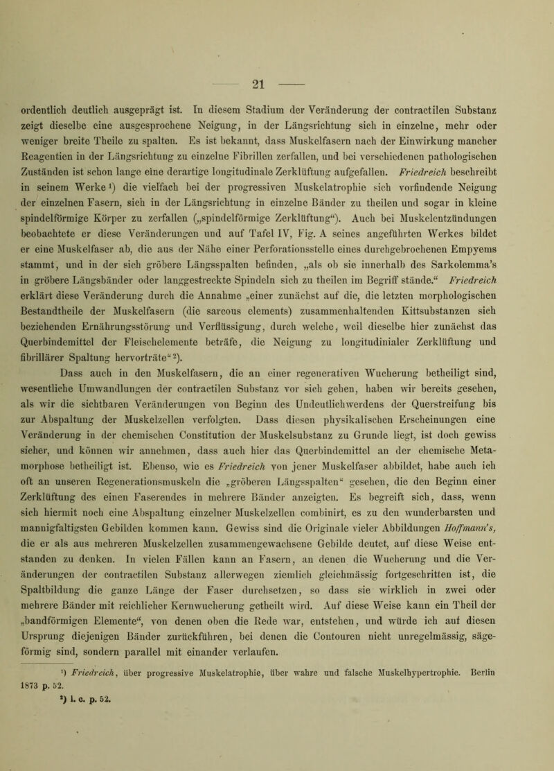 ordentlich deutlich ausgeprägt ist. In diesem Stadium der Veränderung der contractilen Substanz zeigt dieselbe eine ausgesprochene Neigung, in der Längsrichtung sich in einzelne, mehr oder weniger breite Theile zu spalten. Es ist bekannt, dass Muskelfasern nach der Einwirkung mancher Reagentien in der Längsrichtung zu einzelne Fibrillen zerfallen, und bei verschiedenen pathologischen Zuständen ist schon lange eine derartige longitudinale Zerklüftung aufgefallen. Friedreich beschreibt in seinem Werke i) die vielfach bei der progressiven Muskelatrophie sich vorfindende Neigung der einzelnen Fasern, sich in der Längsrichtung in einzelne Bänder zu theilen und sogar in kleine spindelförmige Körper zu zerfallen („spindelförmige Zerklüftung“). Auch bei Muskelcntzündungen beobachtete er diese Veränderungen und auf Tafel IV, Fig. A seines angeführten Werkes bildet er eine Muskelfaser ab, die aus der Nähe einer Perforationsstelle eines durchgebrochenen Empyems stammt, und in der sich gröbere Längsspalten befinden, „als ob sie innerhalb des Sarkolemma’s in gröbere Längsbänder oder langgestreckte Spindeln sich zu theilen im Begriff stände.“ Friedreich erklärt diese Veränderung durch die Annahme „einer zunächst auf die, die letzten morphologischen Bestandtheile der Muskelfasern (die sarcous elements) zusammenhaltenden Kittsubstanzen sich beziehenden Ernährungsstörung und Verflüssigung, durch welche, weil dieselbe hier zunächst das Querbindemittel der Fleischelemente beträfe, die Neigung zu lougitudinialer Zerklüftung und fibrillärer Spaltung hervorträte“^). Dass auch in den Muskelfasern, die an einer regenerativen Wucherung betheiligt sind, wesentliche Umwandlungen der contractilen Substanz vor sich gehen, haben wir bereits gesehen, als wir die sichtbaren Veränderungen von Beginn des Uudeutlichwerdens der Querstreifung bis zur Abspaltung der Muskelzellen verfolgten. Dass diesen physikalischen Erscheinungen eine Veränderung in der chemischen Constitution der Muskelsubstanz zu Grunde liegt, ist doch gewiss sicher, und können wir annehmen, dass auch hier das Querbindemittel an der chemische Meta- morphose betheiligt ist. Ebenso, wie es Friedreich Yon jener Muskelfaser abbildet, habe aucli ich oft an unseren Regenerationsmuskeln die „gröberen Längsspalten“ gesehen, die den Beginn einer Zerklüftung des einen Faserendes in mehrere Bänder anzeigten. Es begreift sich, dass, wenn sich hiermit noch eine Abspaltung einzelner Muskelzellen combinirt, es zu den wunderbarsten und mannigfaltigsten Gebilden kommen kann. Gewiss sind die Originale vieler Abbildungen Hoffmann’s, die er als aus mehreren Muskelzellen zusammengewachsene Gebilde deutet, auf diese Weise ent- standen zu denken. In vielen Fällen kann an Fasern, an denen die Wucherung und die Ver- änderungen der contractilen Substanz allerwegen ziemlich gleichmässig fortgeschritten ist, die Spaltbildung die ganze Länge der Faser durchsetzen, so dass sie wirklich in zwei oder mehrere Bänder mit reichlicher Kernwucherung getheilt wird. Auf diese Weise kann ein Theil der „bandförmigen Elemente“, von denen oben die Rede war, entstehen, und würde ich auf diesen Ursprung diejenigen Bänder zurückführen, bei denen die Contouren nicht unregelmässig, säge- förmig sind, sondern parallel mit einander verlaufen. ') Friedreich, über progressive Muskelatrophie, über wahre und falsche Muskelhypertrophie. Berlin 1873 p. 52. *) 1. C. p. 52.