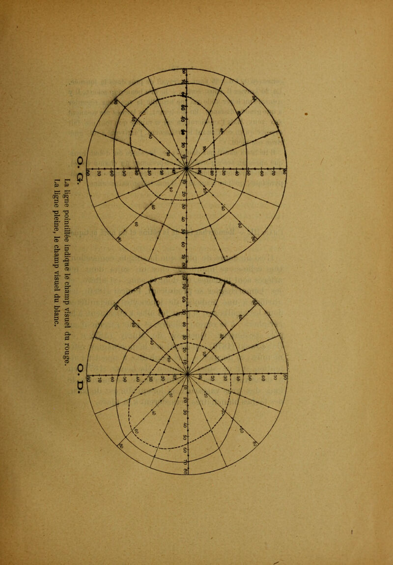 La ligne pointillée indique le champ visuel du rouge. La ligne pleine, le champ visuel du blanc. / t