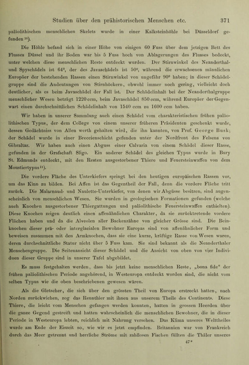 paläolithischen menschlichen Skelets wurde in einer Kalksteinhöhle bei Düsseldorf ge- funden 10). Die Höhle befand sich in einer Höhe von einigen 60 Fuss über dem jetzigen Bett des Flusses Düssei und ihr Boden war bis 5 Fuss hoch von Ablagerungen des Flusses bedeckt, unter welchen diese menschlichen Reste entdeckt wurden. Der Stirnwinkel des Neanderthal- und Spyschädels ist 64°, der des Javaschädels ist 50°, während die erwachsenen männlichen Europäer der bestehenden Rassen einen Stirnwinkel von ungefähr 90° haben; in dieser Schädel- gruppe sind die Andeutungen von Stirnhöckern, obwohl immer noch gering, vielleicht doch deutlicher, als es beim Javaschädel der Fall ist. Der Schädelinhalt bei der Neanderthalgruppe menschlicher Wesen beträgt 1220 ccm, beim Javaschädel 850 ccm, während Europäer der Gegen- wart einen durchschnittlichen Schädelinhalt von 1540 ccm zu 1600 ccm haben. Wir haben in unserer Sammlung auch einen Schädel vom charakteristischen frühen paläo- lithischen Typus, der dem College von einem unserer früheren Präsidenten geschenkt wurde, dessen Gedächtniss von Allen wertb gehalten wird, die ihn kannten, von Prof. George Busk; der Schädel wurde in einer Breccienschicht gefunden unter der Nordfront des Felsens von Gibraltar. Wir haben auch einen Abguss einer Calvaria von einem Schädel dieser Rasse, gefunden in der Grafschaft Sligo. Ein anderer Schädel des gleichen Typus wurde in Bury St. Edmunds entdeckt, mit den Resten ausgestorbener Thiere und Feuerstein wallen von dem Moustiertypus n). Die vordere Fläche des Unterkiefers springt bei den heutigen europäischen Rassen vor, um das Kinn zu bilden. Bei Atfen ist das Gegentheil der Fall, denn die vordere Fläche tritt zurück. Die Malarnaud- und Naulette-Unterkiefer, von denen wir Abgüsse besitzen, sind augen- scheinlich von menschlichen Wesen. Sie wurden in geologischen Formationen gefunden (welche auch Knochen ausgestorbener Thiergattungen und paläolitliische Feuersteinwaffen enthielten). Diese Knochen zeigen deutlich einen affenähnlichen Charakter, da sie zurücktretende vordere Flächen haben und da die Alveolen aller Backenzähne von gleicher Grösse sind. Die Bein- knochen dieser prä- oder interglacialen Bewohner Europas sind von affenähnlicher Form und beweisen zusammen mit den Armknochen, dass sie eine kurze, kräftige Rasse von Wesen waren, deren durchschnittliche Statur nicht über 5 Fuss kam. Sie sind bekannt als die Neandertlialer Menschengruppe. Die Seitenansicht dieser Schädel und die Ansicht von oben von vier Indivi- duen dieser Gruppe sind in unserer Tafel abgebildet. Es muss festgehalten werden, dass bis jetzt keine menschlichen Reste, „bona fide“ der frühen paläolithischen Periode angehörend, in Westeuropa entdeckt worden sind, die nicht vom selben Typus wie die oben beschriebenen gewesen wären. Als die Gletscher, die sich über den grössten Theil von Europa erstreckt hatten, nach Norden zurückwichen, zog das Rennthier mit ihnen aus unserem Theile des Continents. Diese Thiere, die leicht vom Menschen gefangen werden konnten, hatten in grossen Heerden über die ganze Gegend gestreift und hatten wahrscheinlich die menschlichen Bewohner, die in dieser Periode in Westeuropa lebten, reichlich mit Nahrung versehen. Das Klima unseres Welttheiles wurde am Ende der Eiszeit so, wie wir es jetzt empfinden. Britannien war von Frankreich durch das Meer getrennt und herrliche Ströme mit zahllosen Fischen füllten die Thäler unseres 47*