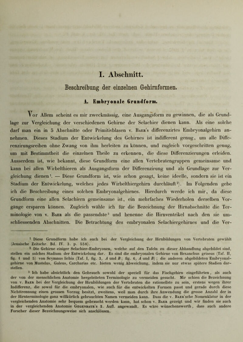 Beschreibung der einzelnen Gehirnformen, A. Embryonale Grundform. Vor Allem scheint es mir zweckmässig, eine Ausgangsform zu gewinnen, die als Grund- lage zur Vergleichung der verschiedenen Gehirne der Selachier dienen kann. Als eine solche darf man ein in 5 Abschnitte oder Primitivblasen v. Baer’s differenzirtes Embryonalgehirn an- nehmen. Dieses Stadium der Entwickelung des Gehirnes ist indifferent genug, um alle Diffc- renzirungsreihen ohne Zwang von ihm herleiten zu können, und zugleich vorgeschritten genug, um mit Bestimmtheit die einzelnen Theile zu erkennen, die diese Differenzierungen erleiden. Ausserdem ist, wie bekannt, diese Grundform eine allen Vertebratengruppen gemeinsame und kann bei allen Wirbelthieren als Ausgangsform der Differenzirung und als Grundlage zur Ver- gleichung dienen1. — Diese Grundform ist, wie schon gesagt, keine ideelle, sondern sie ist ein Stadium der Entwickelung, welches jedes Wirbelthiergehirn durchläuft2). Im Folgenden gebe ich die Beschreibung eines solchen Embryonalgehirnes. Hierdurch werde ich mir, da diese Grundform eine allen Selachiern gemeinsame ist, ein mehrfaches Wiederholen derselben Vor- gänge ersparen können. Zugleich wähle ich für die Bezeichnung der Hirnabschnitte die Ter- minologie von v. Baer als die passendste3 und benenne die Hirnventrikel nach den sie um- schliessenden Abschnitten. Die Betrachtung des embryonalen Selachiergehirnes und die Ver- 1 Diese Grundform habe ich auch bei der Vergleichung der Hirnbildungen von Vertebraten gewählt (Jenaische Zeitschr. Bd. IV. 3. p. 558). 2 Die Gehirne einiger Selachier-Embryonen, welche auf den Tafeln zu dieser Abhandlung abgebildet sind, stellen ein solches Stadium der Entwickelung dar. Es sind die embryonalen Gehirne von Hexanchus griseus (Taf. II, fig. 1 und 5) von Scvmnus lichia (Taf. I, fig. 3, A und B; fig. 6, A und B) ; die anderen abgebildeten Embryonal- gehirne von Mustelus, Galeus, Carcharias etc. bieten wenig Abweichung, indem sie nur etwas spätere Stadien dar- stellen. 3 Ich habe absichtlich den Gebrauch sowohl der speciell für das Fischgehirn eingeführten, als auch der von der menschlichen Anatomie hergeleiteten Terminologie zu vermeiden gesucht. Mir schien die Bezeichnung von v. Baer bei der Vergleichung der Hirnbildungen der Vertebraten die rationellste zu sein, erstens wegen ihrer Indifferenz, die sowol für die embryonalen, wie auch für die entwickelten Formen passt und gerade durch diese Nichttrennung einen grossen Vorzug besitzt, zweitens, weil man durch ihre Anwendung die grosse Anzahl der in der Hirnterminologie ganz willkürlich gebrauchten Namen vermeiden kann. Dass die v. BAER’sche Nomenklatur in der vergleichenden Anatomie sehr bequem gebraucht werden kann, hat schon v. Baer gezeigt und wir finden sie auch in der vergleichenden Anatomie Gegenbaur’s 2. Aufl. angewandt. Es wäre wünschenswerth, dass auch andere Forscher dieser Bezeichnungsweise sich anschlössen.