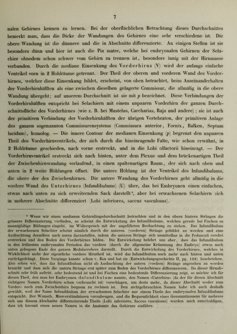 nalen Gehirnes kennen zu lernen. Bei der oberflächlichen Betrachtung dieses Durchschnittes bemerkt man, dass die Dicke der Wandungen des Gehirnes eine sehr verschiedene ist. Die obere Wandung ist die dünnere und die in Abschnitte differenzierte. An einigen Stellen ist sie besonders dünn und hier ist auch die Pia mater, welche bei embryonalen Gehirnen der Sela- chier ohnedem schon schwer vom Gehirn zu trennen ist, besonders innig mit der Hirnmasse verbunden. Durch die mediane Einsenkung des Vorderhirns (V) wird der anfangs einfache Ventrikel vorn in 2 Hohlräume getrennt. Der Theil der oberen und vorderen Wand des Vorder- hirnes, welcher diese Einsenkung bildet, erscheint, von oben betrachtet, beim Auseinanderhalten der Vorderhirnhälften als eine zwischen dieselben gelagerte Commissur, die alhnälig in die obere Wandung übergeht; auf unserem Durchschnitt ist sie mit p bezeichnet. Diese Verbindungen der Vorderhirnhälften entspricht bei Selacliiem mit einem unpaaren Vorderhirn der ganzen Durch- schnittsfläche des Vorderhirnes (wie z. B. bei Mustelus, Carcharias, Raja und andere) ; sie ist auch der primitiven Verbindung der Vorderhirnhälften der übrigen Vertebraten, der primitiven Anlage des ganzen sogenannten Commissurensystems (Connnissura anterior, Fornix, Balken, Septum lucidum), homolog. — Die innere Contour der medianen Einsenkung (p) begrenzt den unpaaren Theil des Vorderhirnventrikels, der sich durch die hineinragende Falte, wie schon erwähnt, in 2 Hohlräume geschieden, nach vorne erstreckt, und in die Lobi olfactorii hineinragt. — Der Vorderhirnventrikel erstreckt sich nach hinten, unter dem Plexus und dem brückenartigen Theil der Zwischenhirnwandung verlaufend, in einen spaltenartigen Raum, der sich nach oben und unten in 2 weite Höhlungen öffnet. Die untere Höhlung ist der Ventrikel des Infundibulums, die obere der des Zwischenhirnes. Die untere Wandung des Vorderhirnes geht allmälig in die vordere Wand des Unterhirnes (Infundibulums) (U) über, das bei Embryonen einen einfachen, etwas nach unten zu sich erweiternden Sack darstellt9, aber bei erwachsenen Selachiern sich in mehrere Abschnitte differenziert (Lobi inferiores, saccus vasculosus). 9 Wenn wir einen medianen Gehirnlängsdurchschnitt betrachten und in den obern hintern Strängen die grössere Differenzierung vorfinden, so scheint die Entwickelung des Infundibulums, welches gerade bei Fischen so mannigfaltige Bildungen eingeht, im Widerspruch mit der angeführten Beobachtung zu stellen. Das Infundibulum der erwachsenen Selachier scheint nämlich durch die unteren (vorderen) Stränge gebildet zu werden und eine Ausbuchtung derselben nach unten darzustellen, indem die unteren Stränge sich unmittelbar in die Pedunculi cerebri erstrecken und den Boden des Vorderhirnes bilden. Die Entwickelung belehrt uns aber, dass das Infundibulum in den frühesten embryonalen Perioden das vordere (durch die allgemeine Krümmung des Embryo) etwas nach unten gebogene Ende des ganzen Medularrohres darstellt. Durch die Entwickelung des Vorderhirnes, welches in Wirklichkeit nicht der eigentliche vordere Hirntheil ist, wird das Infundibulum noch mehr nach hinten und unten zurückgedrängt. Diese Vorgänge kannte schon v. Bar und hat sie (Entwickelungsgeschichte II, pg. 108) beschrieben. Also sehen wir, dass das Infundibulum nicht als Ausbuchtung der untern (vordem) Stränge angesehen zu werden braucht und dass sich die untern Stränge erst später zum Boden des Vorderhirnes differenzieren. Da dieser Hirnab- schnitt sehr früh auftritt, sehr bedeutend ist und bei Fischen eine bedeutende Differenzierung zeigt, so möchte ich für diesen Theil, den man bei Embryonen »Infundibulum« nannte, den Namen »Unterhirn« (da der für diesen Abschnitt richtigere Namen Vorderhirn schon verbraucht ist) vorschlagen, um desto mehr, da dieser Abschnitt weder zum Vorder- noch zum Zwischenhirn bequem zu rechnen ist. Den nichtgebrauchten Namen habe ich auch deshalb gewählt, weil der Name Infundibulum der erwachsenen Selachier nur einem Theile des embryonalen Infundibulums entspricht. Der Wunsch, Missverständnissen vorzubeugen, und die Bequemlichkeit eines Gesanmitnamens für mehrere sich aus diesem Abschnitte differenzierende Theile (Lobi inferiores, Saccus vasculosus) werden mich entschuldigen, dass ich hiermit einen neuen Namen in die Anatomie des Gehirnes einführe.