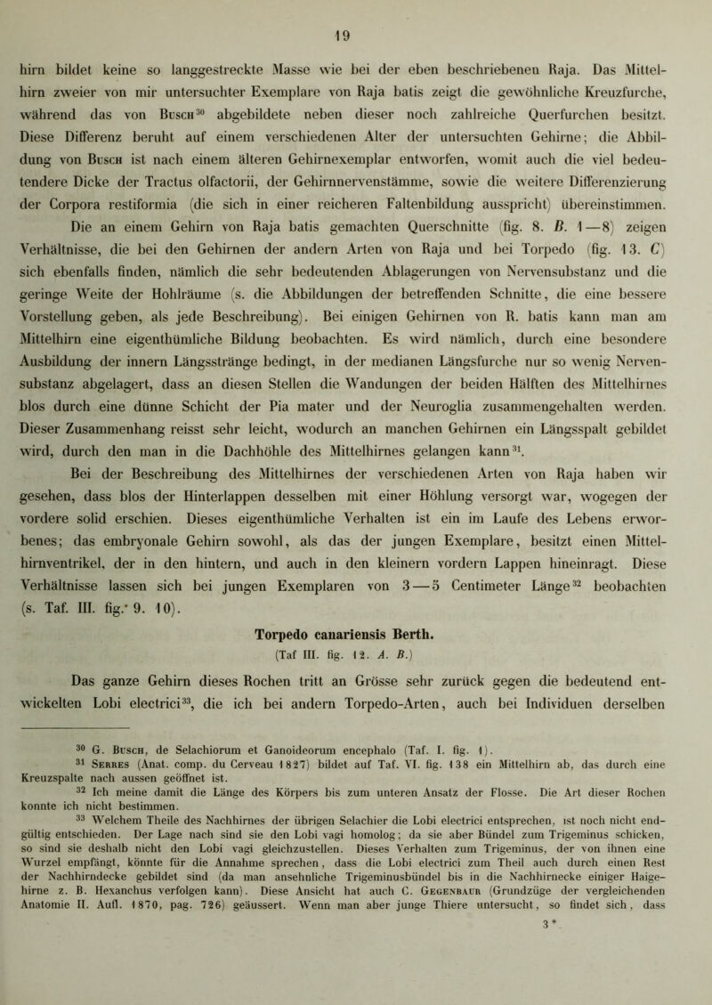 hirn bildet keine so langgestreckte Masse wie bei der eben beschriebenen Raja. Das Mittel- hirn zweier von mir untersuchter Exemplare von Raja batis zeigt die gewöhnliche Kreuzfurche, während das von Busch30 abgebildete neben dieser noch zahlreiche Querfurchen besitzt. Diese Differenz beruht auf einem verschiedenen Alter der untersuchten Gehirne; die Abbil- dung von Busch ist nach einem älteren Gehirnexemplar entworfen, womit auch die viel bedeu- tendere Dicke der Tractus olfactorii, der Gehirnnervenstämme, sowie die weitere Differenzierung der Corpora restiformia (die sich in einer reicheren Faltenbildung ausspricht) übereinstimmen. Die an einem Gehirn von Raja batis gemachten Querschnitte (fig. 8. B. 1—8) zeigen Verhältnisse, die bei den Gehirnen der andern Arten von Raja und bei Torpedo (fig. 13. C) sich ebenfalls finden, nämlich die sehr bedeutenden Ablagerungen von Nervensubstanz und die geringe Weite der Hohlräume (s. die Abbildungen der betreffenden Schnitte, die eine bessere Vorstellung geben, als jede Beschreibung). Bei einigen Gehirnen von R. batis kann man am Mittelhirn eine eigenthümliche Bildung beobachten. Es wird nämlich, durch eine besondere Ausbildung der innern Längsstränge bedingt, in der medianen Längsfurche nur so wenig Nerven- substanz abgelagert, dass an diesen Stellen die Wandungen der beiden Hälften des Mittelhirnes blos durch eine dünne Schicht der Pia mater und der Neuroglia zusammengehalten werden. Dieser Zusammenhang reisst sehr leicht, wodurch an manchen Gehirnen ein Längsspalt gebildet wird, durch den man in die Dachhöhle des Mittelhirnes gelangen kann31. Bei der Beschreibung des Mittelhirnes der verschiedenen Arten von Raja haben wir gesehen, dass blos der Hinterlappen desselben mit einer Höhlung versorgt war, wogegen der vordere solid erschien. Dieses eigenthümliche Verhalten ist ein im Laufe des Lebens erwor- benes; das embryonale Gehirn sowohl, als das der jungen Exemplare, besitzt einen Mittel- hirnventrikel, der in den hintern, und auch in den kleinern vordem Lappen hineinragt. Diese Verhältnisse lassen sich bei jungen Exemplaren von 3 — 3 Centimeter Länge32 beobachten (s. Taf. III. fig.'9. 10). Torpedo canariensis Bertli. (Taf III. fig. 12. A. B.) Das ganze Gehirn dieses Rochen tritt an Grösse sehr zurück gegen die bedeutend ent- wickelten Lobi electrici33, die ich bei andern Torpedo-Arten, auch bei Individuen derselben 30 G. Busch, de Selachiorum et Ganoideorum encephalo (Taf. I. fig. I). 31 Serres (Anat. comp, du Cerveau 1 827) bildet auf Taf. VI. fig. 138 ein Mittelhirn ab, das durch eine Kreuzspalte nach aussen geöffnet ist. 32 Ich meine damit die Länge des Körpers bis zum unteren Ansatz der Flosse. Die Art dieser Rochen konnte ich nicht bestimmen. 33 Welchem Theile des Nachhirnes der übrigen Selachier die Lobi electrici entsprechen, ist noch nicht end- gültig entschieden. Der Lage nach sind sie den Lobi vagi homolog; da sie aber Bündel zum Trigeminus schicken, so sind sie deshalb nicht den Lobi vagi gleichzustellen. Dieses Verhalten zum Trigeminus, der von ihnen eine Wurzel empfängt, könnte für die Annahme sprechen, dass die Lobi electrici zum Theil auch durch einen Rest der Nachhirndecke gebildet sind (da man ansehnliche Trigeminusbündel bis in die Nachhirnecke einiger Haige- hirne z. B. Hexanchus verfolgen kann). Diese Ansicht hat auch C. Gegenbaur (Grundzüge der vergleichenden Anatomie II. Aufl. 1 870, pag. 726) geäussert. Wenn man aber junge Thiere untersucht, so findet sich, dass 3