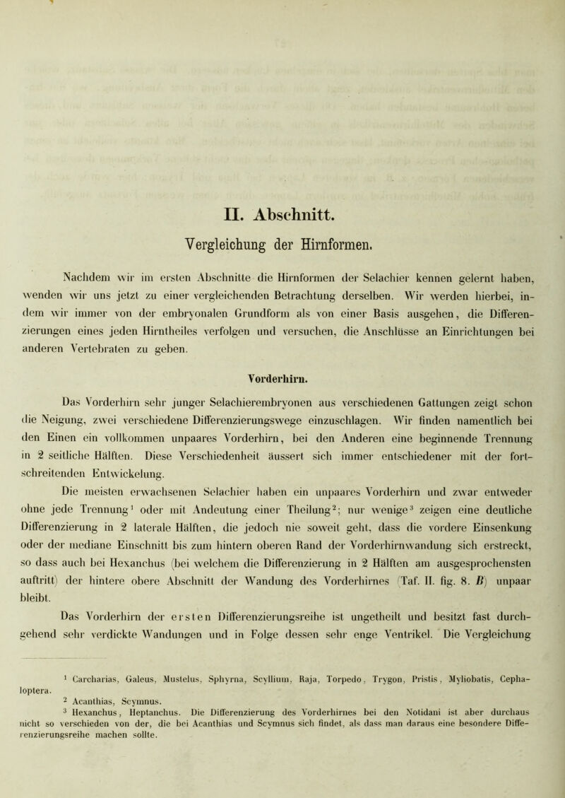 Vergleichung der Hirnformen. Nachdem wir im ersten Abschnitte die Hirnformen der Selachier kennen gelernt haben, wenden wir uns jetzt zu einer vergleichenden Betrachtung derselben. Wir werden hierbei, in- dem wir immer von der embryonalen Grundform als von einer Basis ausgehen, die Differen- zierungen eines jeden Hirntheiles verfolgen und versuchen, die Anschlüsse an Einrichtungen bei anderen Vertebralen zu geben. Vorderhirn. Das Vorderhirn sehr junger Selachierembryonen aus verschiedenen Gattungen zeigt schon die Neigung, zwei verschiedene Dififerenzierungswege einzuschlagen. Wir finden namentlich bei den Einen ein vollkommen unpaares Vorderhirn, bei den Anderen eine beginnende Trennung in 2 seitliche Hälften. Diese Verschiedenheit äussert sich immer entschiedener mit der fort- schreitenden Entwickelung. Die meisten erwachsenen Selachier haben ein unpaares Vorderhirn und zwar entweder ohne jede Trennung1 oder mit Andeutung einer Theilung2; nur wenige3 zeigen eine deutliche Differenzierung in 2 laterale Hälften, die jedoch nie soweit geht, dass die vordere Einsenkung oder der mediane Einschnitt bis zum hintern oberen Rand der Vorderhirnwandung sich erstreckt, so dass auch bei Hexanchus (bei welchem die Differenzierung in 2 Hälften am ausgesprochensten auftritt) der hintere obere Abschnitt der Wandung des Vorderhirnes (Taf. II. fig. 8. B) unpaar bleibt. Das Vorderhirn der ersten Differenzierungsreihe ist ungetheill und besitzt fast durch- gehend sehr verdickte Wandungen und in Folge dessen sehr enge Ventrikel. Die Vergleichung 1 Carcharias, Galeus, Mustelus, Sphyrna, Scyllium, Raja, Torpedo. Trvgon, Pristis, Myliobatis, Cepha- loptera. 2 Acanthias, Scymnus. 3 Hexanchus, Heptanchus. Die Differenzierung des Vorderhirnes bei den Nolidani ist aber durchaus nicht so verschieden von der, die bei Acanthias und Scymnus sich findet, als dass man daraus eine besondere Diffe- renzierungsreihe machen sollte.