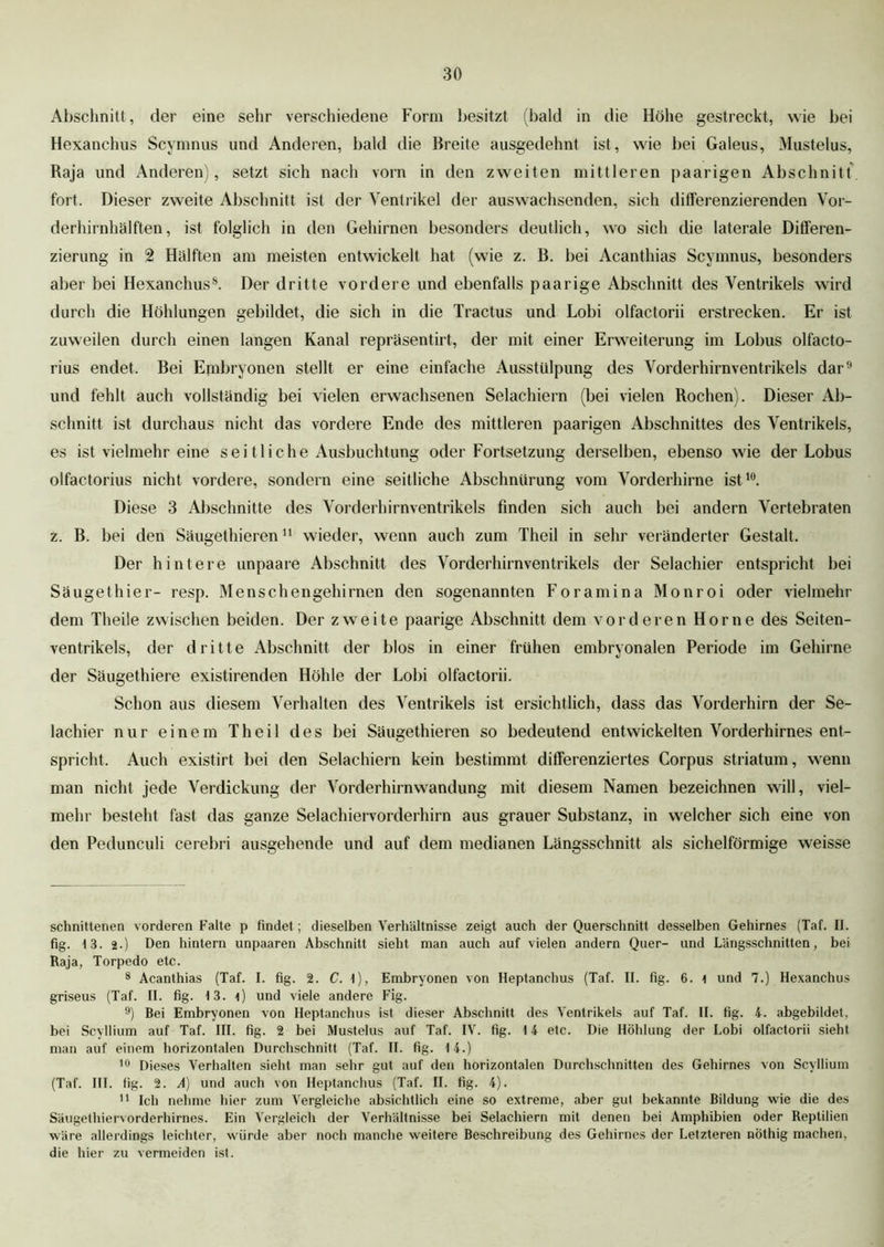 Abschnitt, der eine sehr verschiedene Form besitzt (bald in die Höhe gestreckt, wie bei Hexanchus Scymnus und Anderen, bald die Breite ausgedehnt ist, wie bei Galeus, Mustelus, Raja und Anderen), setzt sich nach vorn in den zweiten mittleren paarigen Abschnitt fort. Dieser zweite Abschnitt ist der Ventrikel der aus wachsenden, sich differenzierenden Vor- derhirnhälften, ist folglich in den Gehirnen besonders deutlich, wo sich die laterale Differen- zierung in 2 Hälften am meisten entwickelt hat (wie z. B. bei Acanthias Scymnus, besonders aber bei Hexanchus8. Der dritte vordere und ebenfalls paarige Abschnitt des Ventrikels wird durch die Höhlungen gebildet, die sich in die Tractus und Lobi olfactorii erstrecken. Er ist zuweilen durch einen langen Kanal repräsentirt, der mit einer Erweiterung im Lobus olfacto- rius endet. Bei Embryonen stellt er eine einfache Ausstülpung des Vorderhirnventrikels dar9 und fehlt auch vollständig bei vielen erwachsenen Selacbiern (bei vielen Rochen). Dieser Ab- schnitt ist durchaus nicht das vordere Ende des mittleren paarigen Abschnittes des Ventrikels, es ist vielmehr eine sei tliche Ausbuchtung oder Fortsetzung derselben, ebenso wie der Lobus olfactorius nicht vordere, sondern eine seitliche Abschnürung vom Vorderhirne ist10. Diese 3 Abschnitte des Vorderhirnventrikels finden sich auch bei andern Vertebraten z. B. bei den Säugethieren* 11 wieder, wenn auch zum Theil in sehr veränderter Gestalt. Der hintere unpaare Abschnitt des Vorderhirnventrikels der Selachier entspricht bei Säugethier- resp. Menschengehirnen den sogenannten Foramina Monroi oder vielmehr dem Theile zwischen beiden. Der zweite paarige Abschnitt dem vorderen Home des Seiten- ventrikels, der dritte Abschnitt der blos in einer frühen embryonalen Periode im Gehirne der Säugethiere existirenden Höhle der Lobi olfactorii. Schon aus diesem Verhalten des Ventrikels ist ersichtlich, dass das Vorderhirn der Se- lachier nur einem Theil des bei Säugethieren so bedeutend entwickelten Vorderhirnes ent- spricht. Auch existirt bei den Selachiern kein bestimmt differenziertes Corpus Striatum, wenn man nicht jede Verdickung der Vorderhirnwandung mit diesem Namen bezeichnen will, viel- mehr besteht fast das ganze Selacliiervorderhirn aus grauer Substanz, in welcher sich eine von den Pedunculi cerebri ausgehende und auf dem medianen Längsschnitt als sichelförmige weisse schnittenen vorderen Falte p findet; dieselben Verhältnisse zeigt auch der Querschnitt desselben Gehirnes (Tat. II. fig. 13. 2.) Den hintern unpaaren Abschnitt sieht man auch auf vielen andern Quer- und Längsschnitten, bei Raja, Torpedo etc. 8 Acanthias (Taf. I. fig. 2. C. 1), Embryonen von Heptanchus (Taf. II. fig. 6. \ und 7.) Hexanchus griseus (Taf. II. fig. 13. i) und viele andere Fig. 9) Bei Embryonen von Heptanchus ist dieser Abschnitt des Ventrikels auf Taf. II. fig. 4. abgebildet, bei Scyllium auf Taf. III. fig. 2 bei Mustelus auf Taf. IV. fig. 14 etc. Die Höhlung der Lobi olfactorii sieht man auf einem horizontalen Durchschnitt (Taf. II. fig. 14.) 10 Dieses Verhalten sieht man sehr gut auf den horizontalen Durchschnitten des Gehirnes von Scyllium (Taf. III. fig. 2. Ä) und auch von Heptanchus (Taf. II. fig. 4). 11 Ich nehme hier zum Vergleiche absichtlich eine so extreme, aber gut bekannte Bildung wie die des Säugethiervorderhirnes. Ein Vergleich der Verhältnisse bei Selachiern mit denen bei Amphibien oder Reptilien wäre allerdings leichter, würde aber noch manche weitere Beschreibung des Gehirnes der Letzteren nöthig machen, die hier zu vermeiden ist.