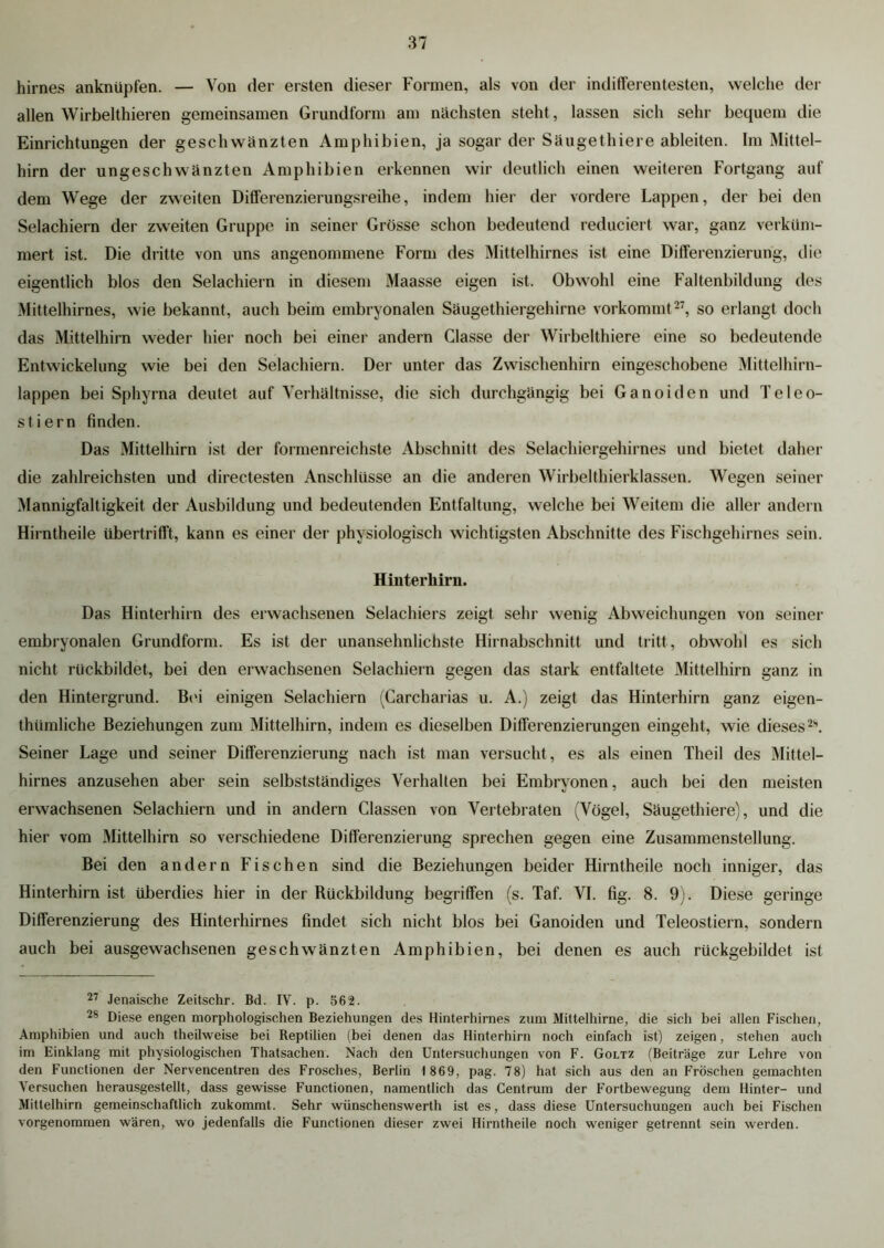 hirnes anknüpfen. — Von der ersten dieser Formen, als von der indifferentesten, welche der allen Wirbelthieren gemeinsamen Grundform am nächsten steht, lassen sich sehr bequem die Einrichtungen der geschwänzten Amphibien, ja sogar der Säugethiere ableiten. Im Mittel- hirn der ungeschwänzten Amphibien erkennen wir deutlich einen weiteren Fortgang auf dem Wege der zweiten Differenzierungsreihe, indem hier der vordere Lappen, der bei den Selachiern der zweiten Gruppe in seiner Grösse schon bedeutend reduciert war, ganz verküm- mert ist. Die dritte von uns angenommene Form des Mittelhirnes ist eine Differenzierung, die eigentlich blos den Selachiern in diesem Maasse eigen ist. Obwohl eine Faltenbildung des Mittelhirnes, wie bekannt, auch beim embryonalen Säugethiergehirne vorkommt27, so erlangt doch das Mittelhirn weder hier noch bei einer andern Classe der Wirbelthiere eine so bedeutende Entwickelung wie bei den Selachiern. Der unter das Zwischenhirn eingeschobene Mittelhirn- lappen bei Sphyrna deutet auf Verhältnisse, die sich durchgängig bei Ganoiden und Teleo- stiern finden. Das Mittelhirn ist der formenreichste Abschnitt des Selachiergehirnes und bietet daher die zahlreichsten und directesten Anschlüsse an die anderen Wirbelthierklassen. Wegen seiner Mannigfaltigkeit der Ausbildung und bedeutenden Entfaltung, welche bei Weitem die aller andern Hirntheile übertrifft, kann es einer der physiologisch wichtigsten Abschnitte des Fischgehirnes sein. Hinterhirn. Das Hinterhirn des erwachsenen Selachiers zeigt sehr wenig Abweichungen von seiner embryonalen Grundform. Es ist der unansehnlichste Hirnabschnitt und tritt, obwohl es sich nicht rückbildet, bei den erwachsenen Selachiern gegen das stark entfaltete Mittelhirn ganz in den Hintergrund. Bei einigen Selachiern (Carcharias u. A.) zeigt das Hinterhirn ganz eigen- tümliche Beziehungen zum Mittelhirn, indem es dieselben Differenzierungen eingeht, wie dieses 2\ Seiner Lage und seiner Differenzierung nach ist man versucht , es als einen Theil des Mittel- hirnes anzusehen aber sein selbstständiges Verhalten bei Embryonen, auch bei den meisten erwachsenen Selachiern und in andern Classen von Vertebraten (Vögel, Säugethiere), und die hier vom Mittelhirn so verschiedene Differenzierung sprechen gegen eine Zusammenstellung. Bei den andern Fischen sind die Beziehungen beider Hirntheile noch inniger, das Hinterhirn ist überdies hier in der Rückbildung begriffen (s. Taf. VI. fig. 8. 9). Diese geringe Differenzierung des Hinterhirnes findet sich nicht blos bei Ganoiden und Teleostiern, sondern auch bei ausgewachsenen geschwänzten Amphibien, bei denen es auch rückgebildet ist 27 Jenaische Zeitschr. Bd. IV. p. 562. 28 Diese engen morphologischen Beziehungen des Hinterhirnes zum Mittelhirne, die sich bei allen Fischen, Amphibien und auch theilweise bei Reptilien (bei denen das Hinterhirn noch einfach ist) zeigen, stehen auch im Einklang mit physiologischen Thatsachen. Nach den Untersuchungen von F. Goltz (Beiträge zur Lehre von den Functionen der Nervencentren des Frosches, Berlin 1869, pag. 78) hat sich aus den an Fröschen gemachten Versuchen herausgestellt, dass gewisse Functionen, namentlich das Centrum der Fortbewegung dem Hinter- und Mittelhirn gemeinschaftlich zukommt. Sehr wünschenswerth ist es, dass diese Untersuchungen auch bei Fischen vorgenommen wären, wo jedenfalls die Functionen dieser zwei Hirntheile noch weniger getrennt sein werden.