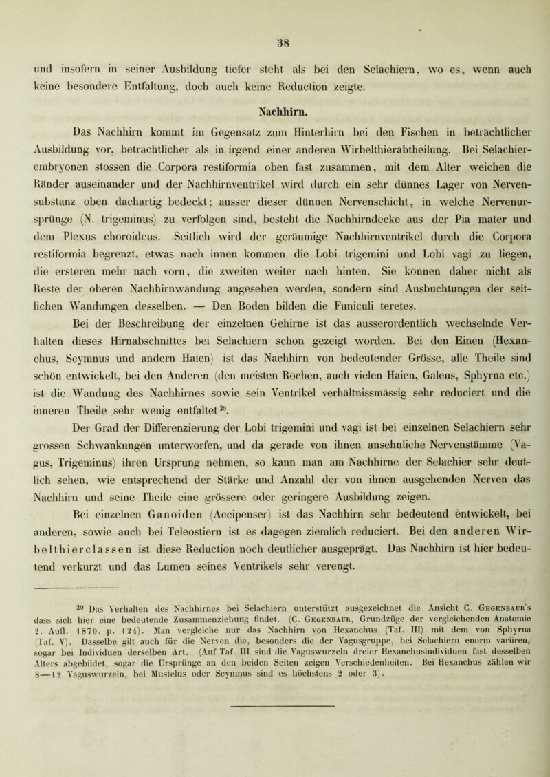 und insofern in seiner Ausbildung tiefer steht als bei den Selachiern, wo es, wenn auch keine besondere Entfaltung, doch auch keine Reduction zeigte. Nachliirn. Das Nachhirn kommt im Gegensatz zum Hinterhirn bei den Fischen in beträchtlicher Ausbildung vor, beträchtlicher als in irgend einer anderen Wirbelthierabtheilung. Bei Selachier- embryonen stossen die Corpora restiformia oben fast zusammen, mit dem Alter weichen die Ränder auseinander und der Nachhirnventrikel wird durch ein sehr dünnes Lager von Nerven- substanz oben dachartig bedeckt; ausser dieser dünnen Nervenschicht, in welche Nervenur- sprünge (N. trigeminus) zu verfolgen sind, besteht die Nachhirndecke aus der Pia mater und dem Plexus choroideus. Seitlich wird der geräumige Nachhirnventrikel durch die Corpora restiformia begrenzt, etwas nach innen kommen die Lobi trigemini und Lobi vagi zu liegen, die ersteren mehr nach vorn, die zweiten weiter nach hinten. Sie können daher nicht als Reste der oberen Nachhirnwandung angesehen werden, sondern sind Ausbuchtungen der seit- lichen Wandungen desselben. — Den Boden bilden die Funiculi teretes. Bei der Beschreibung der einzelnen Gehirne ist das ausserordentlich wechselnde Ver- halten dieses Hirnabschnittes bei Selachiern schon gezeigt worden. Bei den Einen (Hexan- chus, Scymnus und andern Haien) ist das Nachhirn von bedeutender Grösse, alle Theile sind schön entwickelt, bei den Anderen (den meisten Rochen, auch vielen Haien, Galeus, Sphyrna etc.) ist die Wandung des Nachhirnes sowie sein Ventrikel verhältnissmässig sehr reduciert und die inneren Theile sehr wenig entfaltet29. Der Grad der Differenzierung der Lobi trigemini und vagi ist bei einzelnen Selachiern sehr grossen Schwankungen unterworfen, und da gerade von ihnen ansehnliche Nervenstämme (Va- gus, Trigeminus) ihren Ursprung nehmen, so kann man am Nachhirne der Selachier sehr deut- lich sehen, wie entsprechend der Stärke und Anzahl der von ihnen ausgehenden Nerven das Nachhirn und seine Theile eine grössere oder geringere Ausbildung zeigen. Bei einzelnen Ganoiden (Accipenser) ist das Nachhirn sehr bedeutend entwickelt, bei anderen, sowie auch bei Teleostiern ist es dagegen ziemlich reduciert. Bei den anderen Wir- bel thierclassen ist diese Reduction noch deutlicher ausgeprägt. Das Nachhirn ist hier bedeu- tend verkürzt und das Lumen seines Ventrikels sehr verengt. 29 Das Verhalten des Nachhirnes bei Selachiern unterstützt ausgezeichnet die Ansicht C. Gegenbaur’s dass sich hier eine bedeutende Zusammenziehung findet. (C. Gegenbaur, Grundzüge der vergleichenden Anatomie 2. Aufl. 1 870. p. 124). Man vergleiche nur das Nachhirn von Hexanchus (Taf. III) mit dem von Sphyrna (Taf. V). Dasselbe gilt auch für die Nerven die, besonders die der Vagusgruppe, bei Selachiern enorm variiren, sogar bei Individuen derselben Art. (Auf Taf. III sind die Vaguswurzeln dreier Hexanchusindividuen fast desselben Alters abgebildet, sogar die Ursprünge an den beiden Seiten zeigen Verschiedenheiten. Bei Hexanchus zählen wir 8— 12 Vaguswurzeln, bei Mustelus oder Scymnus sind es höchstens 2 oder 3).