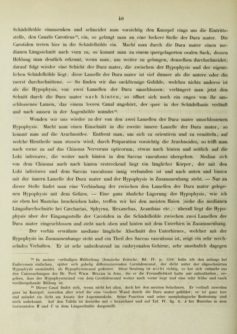 Schädelhöhle einzusenken und schneidet inan vorsichtig den Knorpel rings um die Eintritts- stelle, den Canalis Caroticns34, ein, so gelangt man an eine lockere Stelle der Dura mater. Die Carotiden treten hier in die Schädelhöhle ein. Macht man durch die Dura mater einen me- dianen Längsschnitt nach vorn zu, so kommt man zu einem quergelagerten ovalen Sack, dessen Höhlung man deutlich erkennt, wenn man, um weiter zu gelangen, denselben durchschneidet; darauf folgt wieder eine Schicht der Dura mater, die zwischen der Hypophysis und der eigent- lichen Schädelhöhle liegt; diese Lamelle der Dura mater ist viel dünner als die untere oder die zuerst durchschnittene. — So finden wir das sackförmige Gebilde, welches nichts anderes ist als die Hvpophysis, von zwei Lamellen der Dura umschlossen; verlängert man jetzt den Schnitt durch die Dura mater nach hinten, so öffnet sich noch ein enges von ihr um- schlossenes Lumen, das einem leeren Canal angehört, der quer in der Schädelbasis verläuft und nach aussen in der Augenhöhle mündet35. Wenden wir uns wieder zu der von den zwei Lamellen der Dura mater umschlossenen Hypophysis. Macht man einen Einschnitt in die zweite innere Lamelle der Dura mater, so kommt man auf die Arachnoides. Entfernt man, um sich zu orientiren und zu ermitteln, auf welche Hirntheile man stossen wird, durch Präparation vorsichtig die Arachnoides, so trifft man nach vorne zu auf das Chiasma Nervorum opticorum, etwas nach hinten und seitlich auf die Lobi inferiores, die weiter nach hinten in den Saccus vasculosus übergehen. Median sich von dem Chiasma auch nach hinten erstreckend liegt ein länglicher Körper, der mit den Lobi inferiores und dem Saccus vasculosus innig verbunden ist und nach unten und hinten mit der innern Lamelle der Dura mater und der Hypophysis in Zusammenhang steht. — Nur an dieser Stelle findet man eine Verbindung der zwischen den Lamellen der Dura mater gelege- nen Hypophysis mit dem Gehirn. — Eine ganz ähnliche Lagerung der Hypophysis, wie ich sie eben bei Mustelus beschrieben habe, treffen wir bei den meisten Haien (siehe die medianen Längsdurchschnitte bei Carcharias, Sphyrna, Hexanchus, Acanthias etc.): überall liegt die Hypo- physis über der Eingangsstelle der Carotiden in die Schädelhöhle zwischen zwei Lamellen der Dura mater eingeschlossen und steht nach oben und hinten mit dem Unterhirn in Zusammenhang. Der vorhin erwähnte mediane längliche Abschnitt des Unterhirnes, welcher mit der Hypophysis im Zusammenhänge steht und ein Theil des Saccus vasculosus ist, zeigt ein sehr wech- selndes Verhalten. Er ist sehr unbedeutend im embryonalen Gehirne, sehr ansehnlich dagegen 34 In meiner vorläufigen Mittheilung (Jenaische Zeitschr. Bd. IV. p. 558) habe ich den anfangs bei Embryonen einfachen, später sich gabelig dill'erenzierenden Carotidencanal, der dicht unter der abgeschnürten Hypophysis ausmündet, als Hypophysencanal gedeutet. Diese Deutung ist nicht richtig, es hat sich vielmehr aus den Untersuchungen des Hr. Prof. Wilh. Müller in Jena, die er die Freundlichkeit hatte mir mitzutheilen, er- geben, dass der Hypophysencanal von dem Carotidencanal weiter nach vorne liegt und eine sehr frühe und rasch vorübergehende Bildung ist. 35 Dieser Canal findet sich, wenn nicht bei allen, doch bei den meisten Selachiern. Er verläuft zuweilen ganz im Knorpel, zuweilen aber wird die eine vordere Wand durch die Dura mater gebildet; er ist ganz leer und mündet ein dicht am Ansatz der Augenmuskeln. Seine Function und seine morphologische Bedeutung sind noch unbekannt. Auf den Tafeln ist derselbe mit c bezeichnet und auf Taf. IV. fig. 6. A bei Mustelus in dem horizontalen B und C in dem Längsschnitte dargestellt.