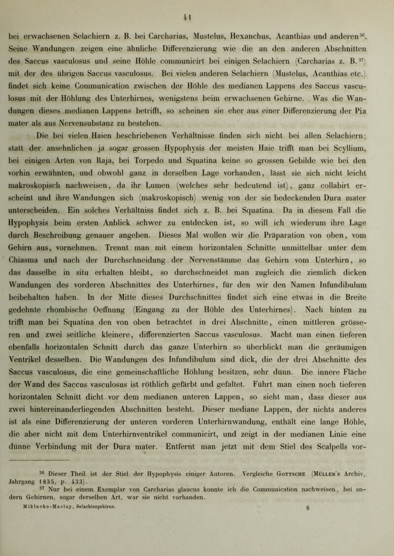 bei erwachsenen Selachiern z. B. bei Carcharias, Mustelus, Hexanchus, Acanthias und anderen36. Seine Wandungen zeigen eine ähnliche Differenzierung wie die an den anderen Abschnitten des Saccus vasculosus und seine Höhle communicirt bei einigen Selachiern (Carcharias z. B.37) mit der des übrigen Saccus vasculosus. Bei vielen anderen Selachiern (Mustelus, Acanthias etc.) findet sich keine Communication zwischen der Höhle des medianen Lappens des Saccus vascu- losus mit der Höhlung des Unterhirnes, wenigstens beim erwachsenen Gehirne. Was die Wan- dungen dieses medianen Lappens betrifft, so scheinen sie eher aus einer Differenzierung der Pia mater als aus Nervensubstanz zu bestehen. Die bei vielen Haien beschriebenen Verhältnisse finden sich nicht bei allen Selachiern; statt der ansehnlichen ja sogar grossen Hypophysis der meisten Haie trifft man bei Scyllium, bei einigen Arten von Raja, bei Torpedo und Squatina keine so grossen Gebilde wie bei den vorhin erwähnten, und obwohl ganz in derselben Lage vorhanden, lässt sie sich nicht leicht makroskopisch nachweisen, da ihr Lumen (welches sehr bedeutend ist), ganz collabirt er- scheint und ihre Wandungen sich (makroskopisch) wenig von der sie bedeckenden Dura mater unterscheiden. Ein solches Verhältniss findet sich z. B. bei Squatina. Da in diesem Fall die Hypophysis beim ersten Anblick schwer zu entdecken ist, so will ich wiederum ihre Lage durch Beschreibung genauer angeben. Dieses Mal wollen wir die Präparation von oben, vom Gehirn aus, vornehmen. Trennt man mit einem horizontalen Schnitte unmittelbar unter dem Chiasma und nach der Durchschneidung der Nervenstämme das Gehirn vom Unterhirn, so das dasselbe in situ erhalten bleibt, so durchschneidet man zugleich die ziemlich dicken Wandungen des vorderen Abschnittes des Unterhirnes, für den wir den Namen Infundibulum beibehalten haben. In der Mitte dieses Durchschnittes findet sich eine etwas in die Breite gedehnte rhombische Oeffnung (Eingang zu der Höhle des Unterhirnes). Nach hinten zu trifft man bei Squatina den von oben betrachtet in drei Abschnitte, einen mittleren grösse- ren und zwei seitliche kleinere, differenzierten Saccus vasculosus. Macht man einen tieferen ebenfalls horizontalen Schnitt durch das ganze Unterhirn so überblickt man die geräumigen Ventrikel desselben. Die Wandungen des Infundibulum sind dick, die der drei Abschnitte des Saccus vasculosus, die eine gemeinschaftliche Höhlung besitzen, sehr dünn. Die innere Fläche der Wand des Saccus vasculosus ist röthlich gefärbt und gefaltet. Führt man einen noch tieferen horizontalen Schnitt dicht vor dem medianen unteren Lappen, so sieht man, dass dieser aus zwei hintereinanderliegenden Abschnitten besteht. Dieser mediane Lappen, der nichts anderes ist als eine Differenzierung der unteren vorderen Unterhirnwandung, enthält eine lange Höhle, die aber nicht mit dem Unterhirnventrikel communicirt, und zeigt in der medianen Linie eine dünne Verbindung mit der Dura mater. Entfernt man jetzt mit dem Stiel des Scalpells vor- 36 Dieser Theil ist der Stiel der Hypophysis einiger Autoren. Vergleiche Gottsche (Müllers Archiv, Jahrgang 1835, p. 433). 37 Nur bei einem Exemplar von Carcharias glaucus konnte ich die Communication nachweisen, bei an- dern Gehirnen, sogar derselben Art, war sie nicht vorhanden. M iklucho-Maclay , Selachiergehirne. g