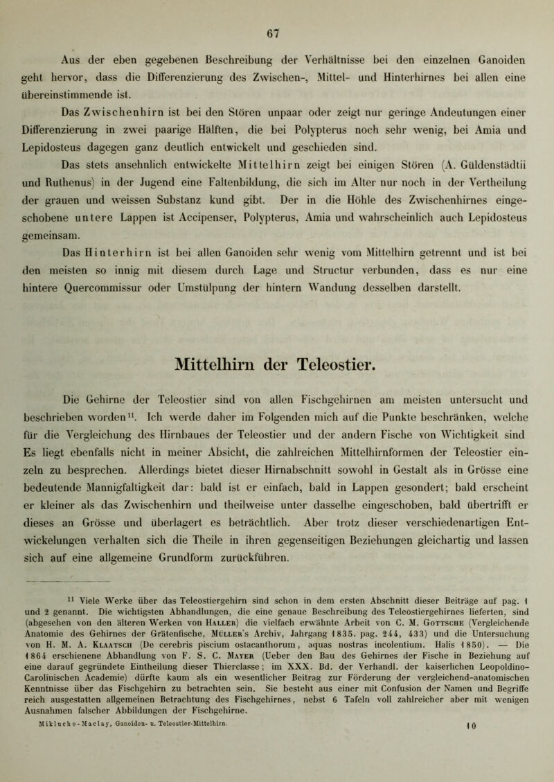 Aus der eben gegebenen Beschreibung der Verhältnisse bei den einzelnen Ganoiden geht hervor, dass die Differenzierung des Zwischen-, Mittel- und Hinterhirnes bei allen eine übereinstimmende ist. Das Zwischen hi rn ist bei den Stören unpaar oder zeigt nur geringe Andeutungen einer Differenzierung in zwei paarige Hälften, die bei Polypterus noch sehr wenig, bei Amia und Lepidosteus dagegen ganz deutlich entwickelt und geschieden sind. Das stets ansehnlich entwickelte Mittelhirn zeigt bei einigen Stören (A. Güldenstädtii und Ruthenus) in der Jugend eine Faltenbildung, die sich im Alter nur noch in der Vertheilung der grauen und weissen Substanz kund gibt. Der in die Höhle des Zwischenhirnes einge- schobene untere Lappen ist Accipenser, Polypterus, Amia und wahrscheinlich auch Lepidosteus gemeinsam. Das Hinterhirn ist bei allen Ganoiden sehr wenig vom Mittelhirn getrennt und ist bei den meisten so innig mit diesem durch Lage und Structur verbunden, dass es nur eine hintere Quercommissur oder Umstülpung der hintern Wandung desselben darstellt. Mittelhirn der Teleostier. Die Gehirne der Teleostier sind von allen Fischgehirnen am meisten untersucht und beschrieben worden11. Ich werde daher im Folgenden mich auf die Punkte beschränken, welche für die Vergleichung des Hirnbaues der Teleostier und der andern Fische von Wichtigkeit sind Es liegt ebenfalls nicht in meiner Absicht, die zahlreichen Mittelhirnformen der Teleostier ein- zeln zu besprechen. Allerdings bietet dieser Hirnabschnitt sowohl in Gestalt als in Grösse eine bedeutende Mannigfaltigkeit dar: bald ist er einfach, bald in Lappen gesondert; bald erscheint er kleiner als das Zwischenhirn und theilweise unter dasselbe eingeschoben, bald übertrifft er dieses an Grösse und überlagert es beträchtlich. Aber trotz dieser verschiedenartigen Ent- wickelungen verhalten sich die Theile in ihren gegenseitigen Beziehungen gleichartig und lassen sich auf eine allgemeine Grundform zurückführen. 11 Viele Werke über das Teleostiergehirn sind schon in dem ersten Abschnitt dieser Beiträge auf pag. 1 und 2 genannt. Die wichtigsten Abhandlungen, die eine genaue Beschreibung des Teleostiergehirnes lieferten, sind (abgesehen von den älteren Werken von Haller) die vielfach erwähnte Arbeit von C. M. Gottsche (Vergleichende Anatomie des Gehirnes der Grätenfische, Müller’s Archiv, Jahrgang 1 835. pag. 244, 433) und die Untersuchung von H. M. A. Klaatsch (De cerebris piscium ostacanthorum, aquas nostras incolentium. Halis 1 850). — Die 1 864 erschienene Abhandlung von F. S. C. Mayer (Ueber den Bau des Gehirnes der Fische in Beziehung auf eine darauf gegründete Eintheilung dieser Thierclasse; im XXX. Bd. der Verhandl. der kaiserlichen Leopoldino- Carolinischen Academie) dürfte kaum als ein wesentlicher Beitrag zur Förderung der vergleichend-anatomischen Kenntnisse über das Fischgehirn zu betrachten sein. Sie besteht aus einer mit Confusion der Namen und Begriffe reich ausgestatten allgemeinen Betrachtung des Fischgehirnes, nebst 6 Tafeln voll zahlreicher aber mit wenigen Ausnahmen falscher Abbildungen der Fischgehirne. Mikluch o-Maclay, Ganoiden- n. Teleostier-Mittelhirn. ja