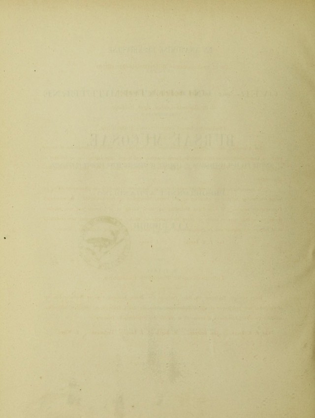 digitised image 2
