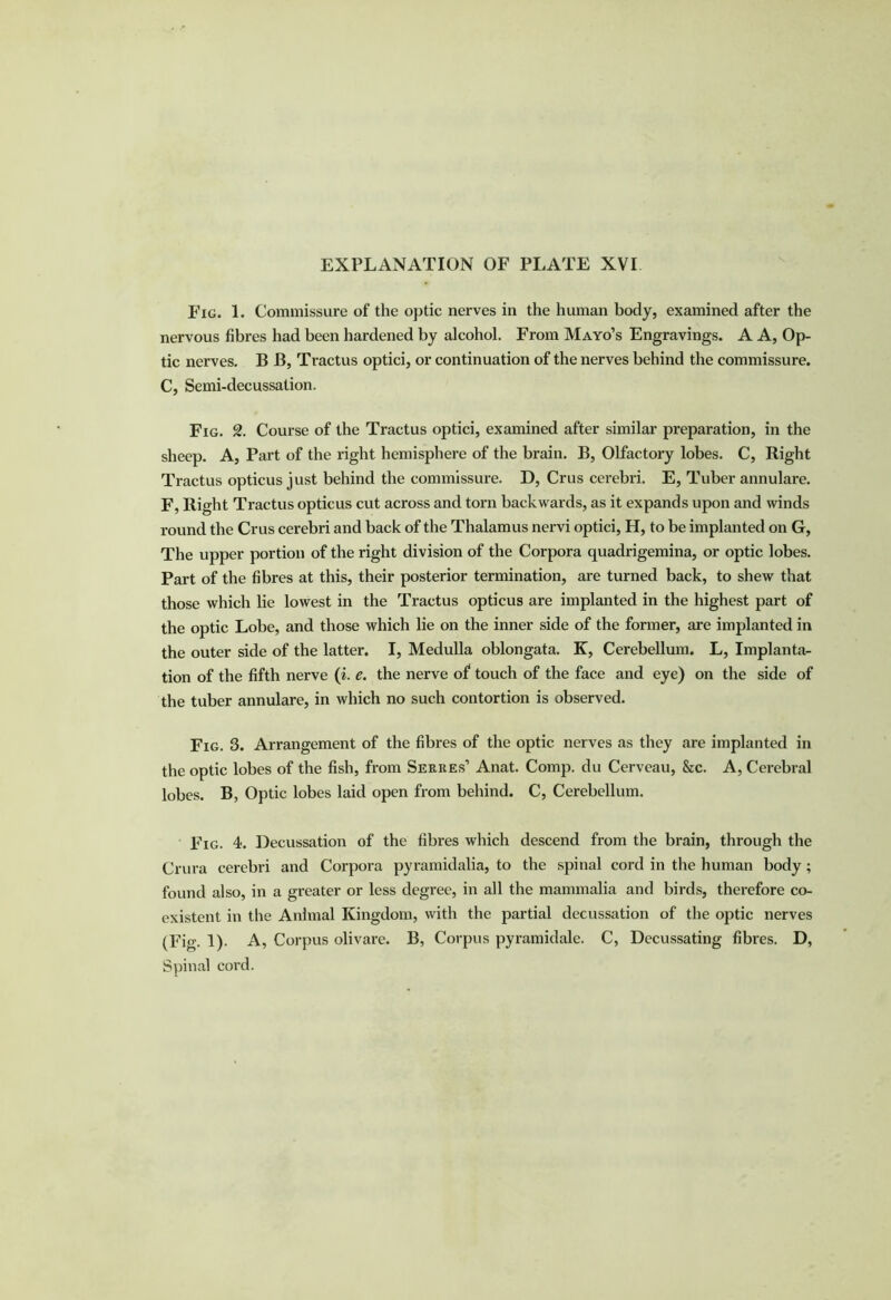 Fig. 1. Commissure of the optic nerves in the human body, examined after the nervous fibres had been hardened by alcohol. From Mayo’s Engravings. A A, Op- tic nerves. B B, Tractus optici, or continuation of the nerves behind the commissure. C, Semi-decussation. Fig. 2. Course of the Tractus optici, examined after similar preparation, in the sheep. A, Part of the right hemisphere of the brain. B, Olfactory lobes. C, Right Tractus opticus just behind the commissure. D, Crus cerebri. E, Tuber annulare. F, Right Tractus opticus cut across and torn backwards, as it expands upon and winds round the Crus cerebri and back of the Thalamus nervi optici, H, to be implanted on G, The upper portion of the right division of the Corpora quadrigemina, or optic lobes. Part of the fibres at this, their posterior termination, are turned back, to shew that those which lie lowest in the Tractus opticus are implanted in the highest part of the optic Lobe, and those which lie on the inner side of the former, are implanted in the outer side of the latter. I, Medulla oblongata. K, Cerebellum. L, Implanta- tion of the fifth nerve (i. e. the nerve of touch of the face and eye) on the side of the tuber annulare, in which no such contortion is observed. Fig. 3. Arrangement of the fibres of the optic nerves as they are implanted in the optic lobes of the fish, from Serres’ Anat. Comp, du Cerveau, &c. A, Cerebral lobes. B, Optic lobes laid open from behind. C, Cerebellum. Fig. 4. Decussation of the fibres which descend from the brain, through the Crura cerebri and Corpora pyramidalia, to the spinal cord in the human body; found also, in a greater or less degree, in all the mammalia and birds, therefore co- existent in the Animal Kingdom, with the partial decussation of the optic nerves (Fig. 1). A, Corpus olivare. B, Corpus pyramidale. C, Decussating fibres. D, Spinal cord.