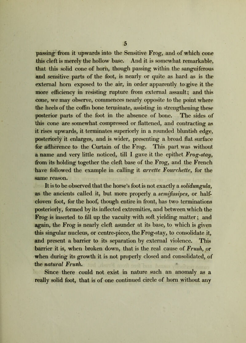 passing from it upwards into the Sensitive Frog, and of which cone this cleft is merely the hollow base. And it is somewhat remarkable, that this solid cone of horn, though passing within the sanguiferous and sensitive parts of the foot, is nearly or quite as hard as is the external horn exposed to the air, in order apparently to give it the more efficiency in resisting rupture from external assault; and this cone, we may observe, commences nearly opposite to the point where the heels of the coffin bone terminate, assisting in strengthening these posterior parts of the foot in the absence of bone. The sides of this cone are somewhat compressed or flattened, and contracting as it rises upwards, it terminates superiorly in a rounded bluntish edge, posteriorly it enlarges, and is wider, presenting a broad flat surface for adherence to the Curtain of the Frog. This part was without a name and very little noticed, till I gave it the epithet Frog-stay, from its holding together the cleft base of the Frog, and the French have followed the example in calling it arrette Fourchette, for the same reason. It is to be observed that the horse’s foot is not exactly a solidungula, as the ancients called it, but more properly a semifissipes, or half- cloven foot, for the hoof, though entire in front, has two terminations posteriorly, formed by its inflected extremities, and between which the Frog is inserted to fill up the vacuity with soft yielding matter; and again, the Frog is nearly cleft asunder at its base, to which is given this singular nucleus, or centre-piece, the Frog-stay, to consolidate it, and present a barrier to its separation by external violence. This barrier it is, when broken down, that is the real cause of Frush, or when during its growth it is not properly closed and consolidated, of the natural Frush. Since there could not exist in nature such an anomaly as a really solid foot, that is of one continued circle of horn without any