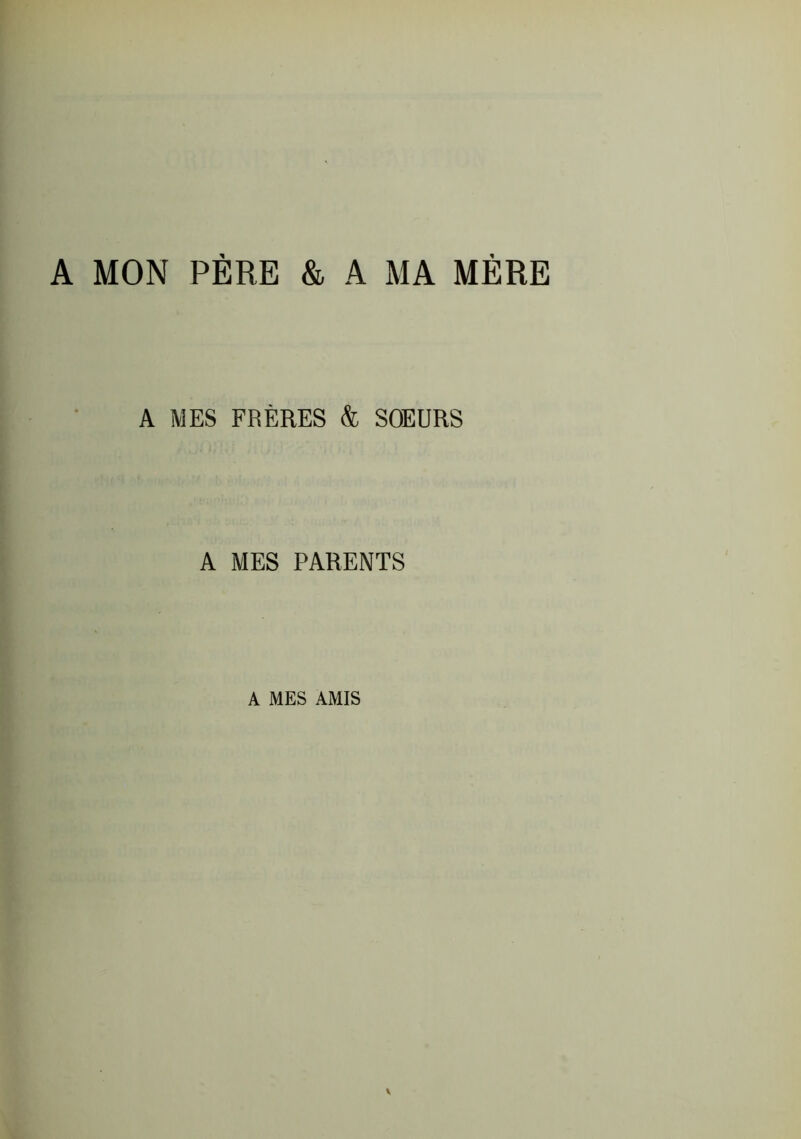 A MON PÈRE & A MA MÈRE A MES FRÈRES & SOEURS A MES PARENTS A MES AMIS