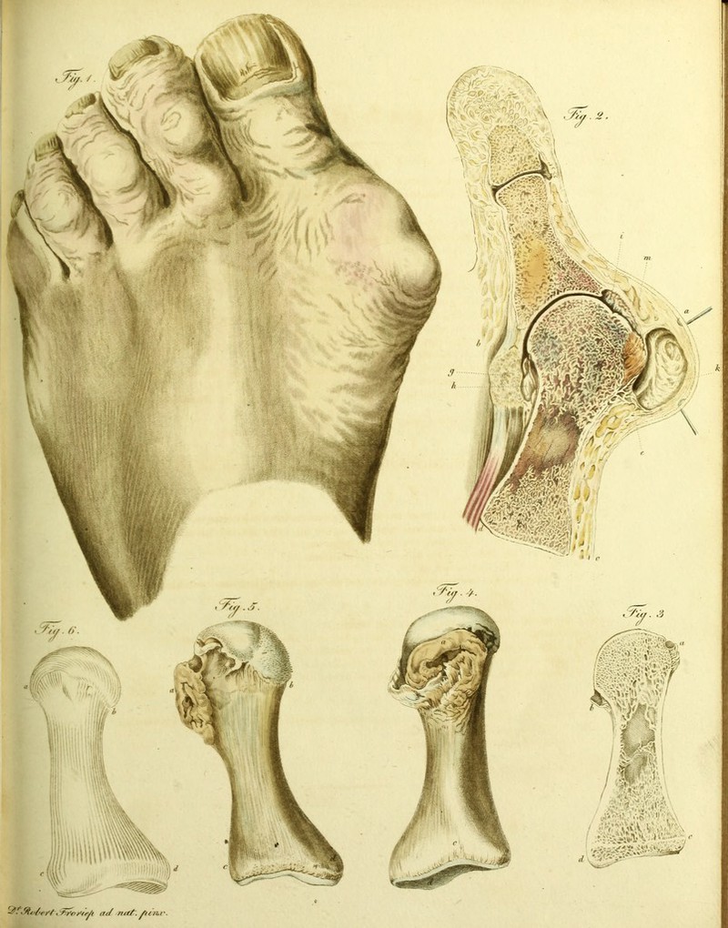 1SH - ■ , - N •ViV, ff r 'r Vi r !! >{ X ^ ■>.,, Y/i/1