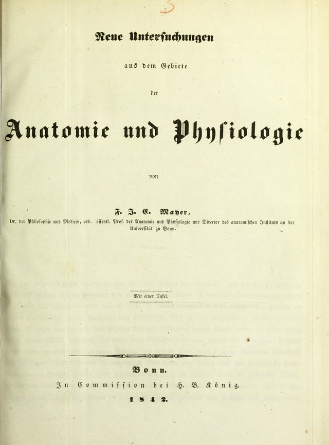 digitised image 1