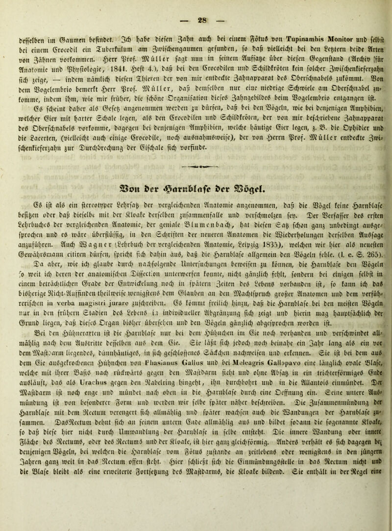 bejfclben im ©aumen beftnbet. 3d) I)abe biefcn 3aljn aud) bet einem götuS 0on Tupinambis Monitor unb felbit bei einem drocobtl ein Duberfulunt am Smifcbengaumen gefunbett, fo bafj »ielleid)t bei beit Settern beibe Slrten t»on 3äbnen »orfommen. £err ^Srof. 9Jiüller fagt nun in feinem Sluffa&e über biefen ©egenftanb (2Irct)it> (für Sfnatontie unb ^ßt)vficIogie, 1841. |)cft 4.), baß bei ben drocobilett unb Scbilbfröteit fein folcf>er 3wifd)enfiefer3al)ii ftd) geige, — inbem nämlich biefen 2!l)ieren ber »on mir entbeefte 3ahnapparat beS £>berfd)nabelS gufömntt. Sou bcin Sogelembrio bemerft |>err $rof. «DJüller, baß bemfelben nur eine niebrtge Schwiele am Oberfdjnabel gu* fontme, inbem ihm, wie mir früher, bie fcfjöne Drgcmifatiou biefeS 3af)ngebilbeS beim Sogelembrio entgangen ift. dS fd)eint baber als ©efeiß angenommen werben gu bürfen, baß bei ben Sögeln, wie bei benjenigen Slmphibien, welcher dicr mit harter Sdtale legen, als ben drocobilen unb Sd)ilbfröten, ber »oit mir befdjriebene 3nbnapparat bed OberfcfmabelS »orfomme, bagegeit bei benjenigen Amphibien, welche häutige dier legen, 3. 35. bie Dphibier unb bie 2acerten, (»ieUcidjt auch einige drocobüe, nod) auSnal)mSmetfe), ber »ott .vjerrrt Sßrof. Füller entbeefte 3wi* febenftefergabn gur Durd)brcd)ung ber difdjale ftch öorfinbe. Sott fce* «5S?rtrttM<tfe &cr dS ift als ein ftereotpper £el)rfap ber »ergfeid)cnben Anatomie angenommen, baß bie Sögel feine .§>arnblafe heftigen ober baß biefeibt mit ber Sbloafe berfelben jufamnienfalle unb öerfdjniolgen fei). Der Serfaffer beS erften £ehrbud)cS ber öergleidjenben Slnatomie, ber geniale Sluntcnbad), hat biefen Sah fd)oit gang unbebingt auSge* fprocf)en unb es märe überfiüfftg, in ben Schriften ber neueren Slnatonten bie ©Überholungen berfelben SluSfage anjuführen. 2lud) SBagner !.?ebrbud) ber oergleicbenbeti Slnatontie, Seipjig 1835), welchen mir hier alö neueften ©ewährSmamt citiren bürfen, fpricf)t ftd) bal)in äuö, baß bie |>arnblafe allgemein ben Sögeln fehle. (1. c. S. 265). Da aber, mie id) glaube burd) nadjfolgenbe Unterfucbungeit bemeifen 3U fönnett, bie Jparnblafe beit Sögeln fo meit id) bereit ber anatomifcheit Diffection unterwerfen foiittte, nicht gänglid) fehlt, fonberit bei einigen felbft in einem beträchtlichen ©rabe ber dntmicfelung nod) in fpätern 3«iten beb Sehens »orbanbett ift, fo fann id) baS bisherige 9rid)ri2lufftnben theilmeife wenigftenS bent ©lauben an beit 9)fad)tfprucb großer Anatomen unb bein oerfüh- rerifdjen in verba niagistri jurare gufebreibett. dS föiitntt freilich hingu, baß bie ^arnblafe bei beit nteifteit Vögeln nur in ben frühem Stabien beS Sehens i.i ittbmibueller Slbgräugung ftd) jeigt unb hierin mag hauptfäd)lich ber ©runb liegen, baß biefeS Drgait bisher übevfcl;en unb ben Sögeln gänglid) abgefprod)ett morbeit ift. Sei ben d)ül)nerarten ift bie |)arnblafe nur bei beut Jjmhndten im die noch »orljanbcn unb »erfdjwinbet all- ntählig nad) bem 'Austritte beffelben atu? beut die. Sie läßt ftd) jeboch nocl) beinahe ein 3al)r lang als ein »or beut SHajibarnt liegenbcS, bünnhäutigeS, in fid) gefd)lofjeneS Sädd)en nachweifen unb erlernten. Sie ift bei bem aus bem die auSgefrodu’iten f)üt)nd)en »01t Phasianus Gallus unb bei Msleagris Gallopavo eine länglich ooale Slafe, mcldje mit ihrer Safts nad) rütfmärtS gegen ben SKaftbarm fteht unb ohne Slbfah in ein trichterförmiges dnbe auSläuft, baS als Urachus gegen beu 9?abelring hingeht, U)n burchbol)rt unb in bie SlllantoiS eiitmünbet. Der SDßaftbarm ift nod) enge unb niünbet nad) oben in bie d)aritblafe burd) eine Seffnuitg ein. Seine untere 2lub* müitbuitg ift 0011 befonbercr gornt unb werben mir felbe fpäter näher befdjreiben. ‘Die 3ufainmcninünbung ber ^arnblafe mit bent Diectum verengert ftd) allmäl)lig unb fpäter machfeit auch bie SÖanbungeu ber äjarublafe fantmen. DaSStcctum beljnt fid) an feinem untern dnbe allmäl)lig auS unb bilbet fobann bie fogenannte Äloafe, fo baß biefe hier nid)t burd) Untwanblung ber |)arnb(afe in felbe cntfte()t. Die innere SBanbung ober innere gläd)e beS 9iectumS, ober beS 9iectum3 unb ber ^loafe, ift hier gang gleichförmig. SlnbcrS »erhält eS ftch bagegeit be^ benjenigen Sögeln, bei welchen bie jjbarnblafe »out götuö tuftanbe an 31’itlebeitS ober wenigftcitS in ben jünger« 3al)ren ganj weit in baS 9?ectum offen fteht. f^icr fd)ließt ftd) bie dinmünbuitgSftelle iit baS Uiectum nicht unb bie Slafe bleibt als eine erweiterte Sortierung beS SRaftbarmS, bie ^loafe bitbenb. Sie enthält in beriKegel eine