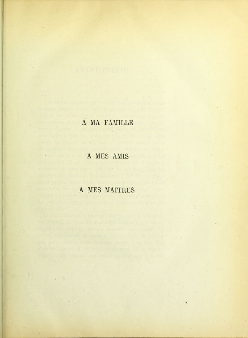 A MA FAMILLE A MES AMIS A MES MAITRES