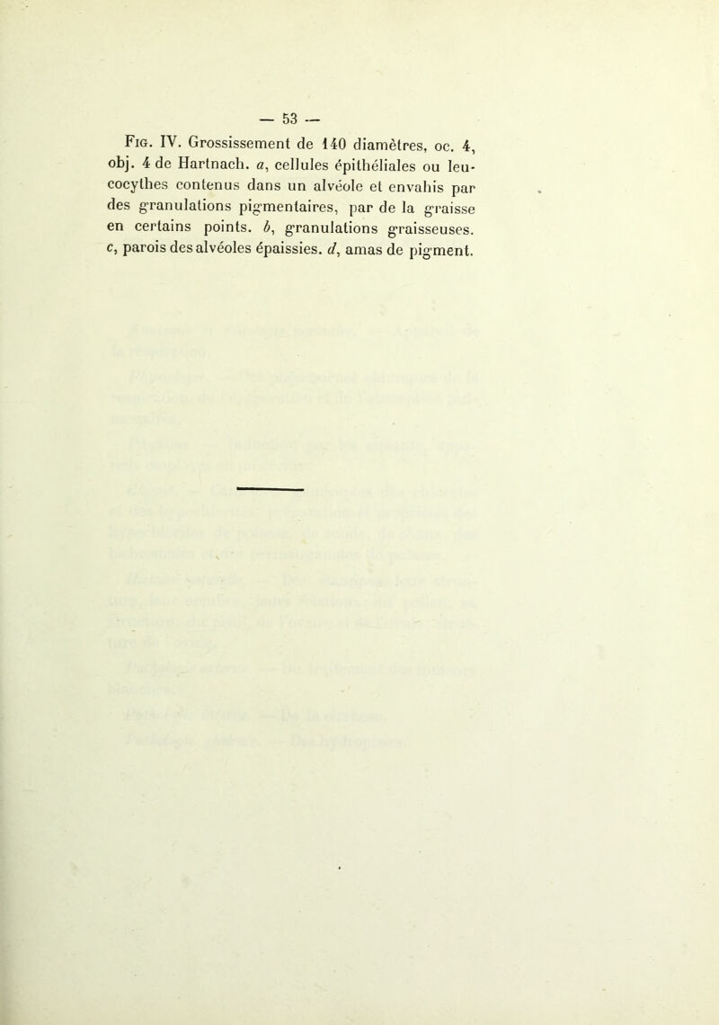 — 53 — Fig. IV. Grossissement de 140 diamètres, oc. 4, obj. 4 de Hartnach. g, cellules épithéliales ou leu- cocythes contenus dans un alvéole et envahis par des g-ranulations pig-mentaires, par de la graisse en certains points, g’ranulations g’raisseuses.
