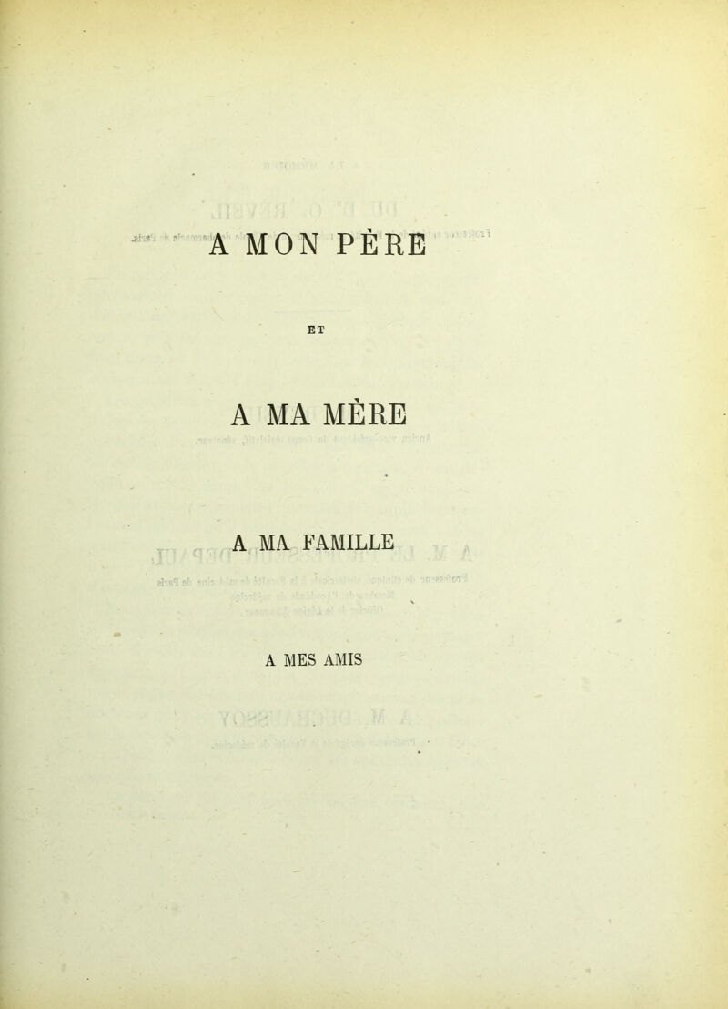 A MON PÈRE A MA MÈRE A MA FAMILLE A MES AMIS
