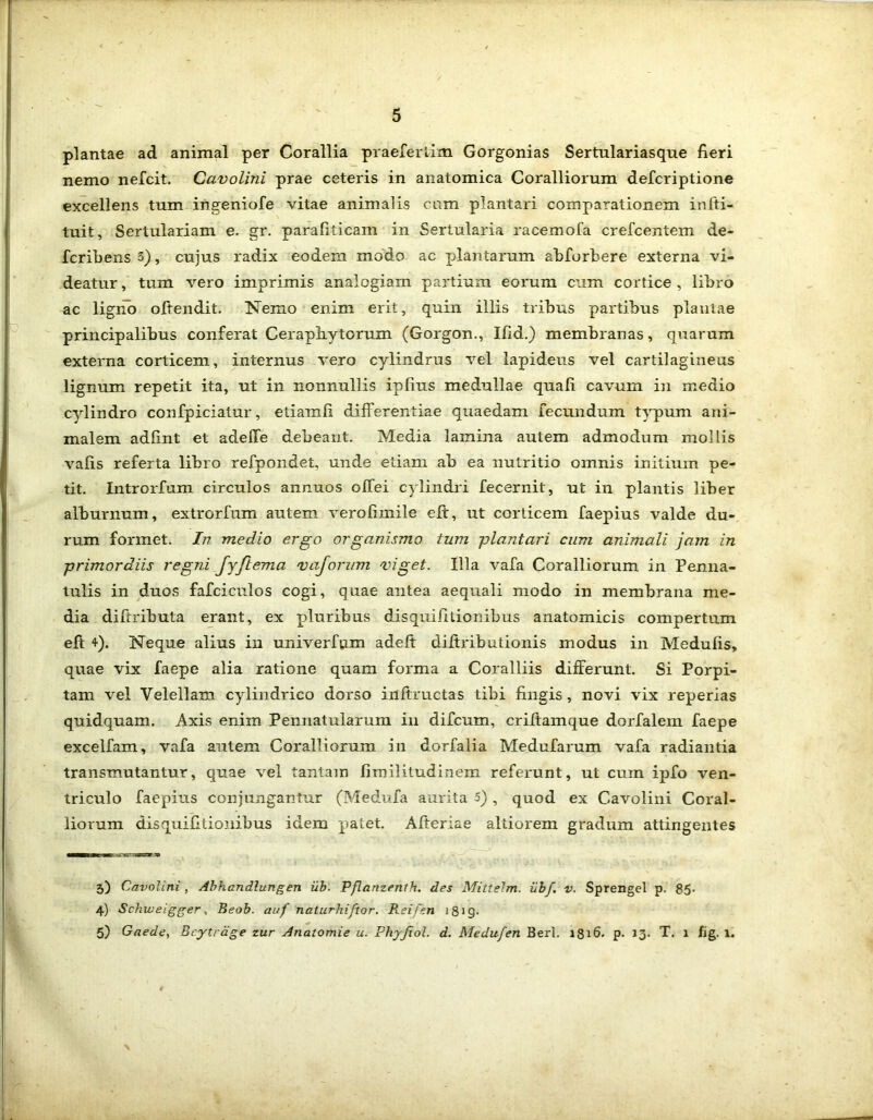 plantae ad animal per Corallia praefertim Gorgonias Sertulariasque fieri nemo nefcit. Cavolini prae ceteris in anatomica Coralliorum defcriptione excellens tum ingeniofe vitae animalis cum plantari comparationem infti- tuit, Sertulariam e. gr. parafiticam in Sertularia racemofa crefcentem de- fcribens 3), cujus radix eodem modo ac plantarum abforbere externa vi- deatur, tum vero imprimis analogiam partium eorum cum cortice, libro ac ligno offendit. Nemo enim erit, quin illis tribus partibus plantae principalibus conferat Cerapbytorum (Gorgon., Ifid.) membranas, quarum externa corticem, internus vero cylindrus vel lapideus vel cartilagineus lignum repetit ita, ut in nonnullis iplius medullae quali cavum in medio cylindro confpiciatur, etiamfi differentiae quaedam fecundum typum ani- malem adfint et adeffe debeant. Media lamina autem admodum mollis valis referta libro refpondet, unde etiam ab ea nutritio omnis initium pe- tit. Introrfum circulos annuos offei cylindri fecernit, ut in plantis liber alburnum, extrorfum autem verofimile eft, ut corticem faepius valde du- rum formet. In medio ergo organismo tum plantari cum animali jam in primordiis regni fyftema vajorum 'viget. Illa vafa Coralliorum in Penna- tulis in duos fafcicnlos cogi, quae antea aequali modo in membrana me- dia diffributa erant, ex pluribus disquifitionibus anatomicis compertum eft *). Neque alius in univerfiam adeft diftributionis modus in Medulis, quae vix faepe alia ratione quam forma a Coralliis differunt. Si Porpi- tam vel Velellam cylindrico dorso inftructas tibi fingis, novi vix reperias quidquam. Axis enim Pennatularum in difcum, criftamque dorfalem faepe excelfam, vafa autem Coralliorum in dorfalia Medufarum vafa radiantia transmutantur, quae vel tantam fimilitudinern referunt, ut cum ipfo ven- triculo faepius conjungantur (Medufa aurita 5) , quod ex Cavolini Coral- liorum disquifitionibus idem patet. Afteriae altiorem gradum attingentes 5) Cavolini , Abhandlungen ub. Pflanzenth. des Mittelm. iibf. v. Sprengel p. 85- 4) Schweigger, Beob. auf naturhiftor. Reifen 1819. 5) Gaede, Bcytrdge zur Anatomie u. Phyjiol. d. Medu/en Berl. 1316. p. 13. T. 1 fig. 1.