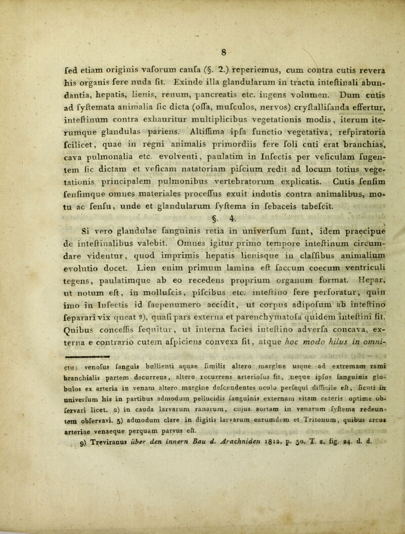 fed etiam originis vaforum caufa (§. 2.) reperiemus, cum contra cutis revera his organis fere nuda fit. Exinde illa glandularum in tractu inteftinali abun- dantia, hepatis, lienis, renum, pancreatis etc. ingens volumen. Dum cutis ad fyffemata animalia fic dicta (offa, mufculos, nervos) cryftallifanda effertur, inteftinum contra exhauritur multiplicibus vegetationis modis, iterum ite- rumque glandulas pariens. AltiHima ipfa functio vegetativa, refpiratoria fcilicet, quae in regni animalis primordiis fere foli cuti erat branchias, cava pulmonalia etc. evolventi, paulalim in Infectis per veliculam fugen- tem fic dictam et veficam natatoriam pifcium redit ad locum totius vege- tationis principalem pulmonibus vertebratorum explicatis. Cutis fenlim fenfimque omnes materiales proceffus exuit indutis contra animalibus, mo- tu ac fenfu, unde et glandularum fyftema in febaceis tabefcit. §• 4. V Si vero glandulae fanguinis retia in univerfum funt, idem praecipue de inteffinalibus valebit. Omnes igitur primo tempore inteffinum circum- dare videntur, quod imprimis hepatis lienisque in claffibus animalium evolutio docet. Lien enim primum lamina eff faecum coecum ventriculi tegens, paulatimque ab eo recedens proprium organum format. Hepar, ut notum eff, in mollufcis, pifeibus etc. inteffiuo fere perforatur, quin irno in Infectis id faepenumero accidit, ut corpus adipofum ab inteftino fepararivix queat 9), quali pars externa et parenchymatofa quidem mteltini fit. Quibus concedis fequitur, ut interna facies iiiteftino adverfa concava, ex- terna e contrario cutem afpicieus convexa fit, atque hoc modo hilus in omni- ctu; venofus fanguis bullienti aquae fimilis altero margine usque ad extremam rami branchialis partem decurrens, altero recurrens arteriofus fit, neque ipfos fanguinis glo- bulos ex arteria in venam altero margine defeendentes oculo perfequi difficile eft, ficuli in univerfum his in partibus admodum pellucidis fanguinis externam vitam ceteris optime ob- fervari licet, a) in cauda larvarum ranarum, cujus aortam in venarum fyftema redeun- tem obfervavi. 5) admodum clare in digitis larvarum earumdem et Tritonum, quibus arcus arteriae venaeque perquam parvus eft. 9) Treviranus uber den innern Bau d. Arachniden 18ia. p. 50. T. 2. fig. 24. d. d.