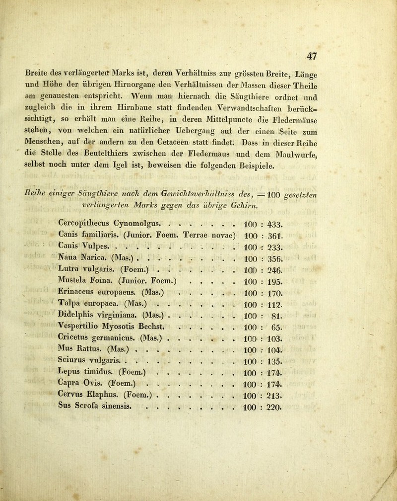 Breite des verlängertet Marks ist, deren Verhaltniss zur grössten Breite, Länge und Höhe der übrigen Hirnorgane den Verhältnissen der Massen dieser Theile am genauesten entspricht. Wenn man hiernach die Säugthiere ordnet und zugleich die in ihrem Hirnbaue statt findenden Verwandtschaften berück- sichtigt, so erhält man eine Reihe, in deren Mitteipuncte die Fledermäuse stehen, von welchen ein natürlicher Uebergang auf der einen Seite zum Menschen, auf der andern zu den Cetaceen statt findet. Dass in dieser Reihe die Stelle des Beutelthiers zwischen der Fledermaus und dem Maulwurfe, selbst noch unter dem Igel ist, beweisen die folgenden Beispiele. Reihe einiger Säugthiere nach dem Geivichtsverhältniss des, 100 gesetzten verlängerten Marks gegen das übrige Gehirn. Cercopithecus Cynomolgus 100 : : 433. Canis familiaris. (Junior. Foem. Terrae novae) 100 : 361. Canis Vulpes 100 : : 233. Naua Narica. (Mas.) 100 : : 356. Lutra vulgaris. (Foem.) . 100 : : 246. Mustela Foina. (Junior. Foem.) 100 : ; 195. Erinaceus europaeus. (Mas.) 100 : : 170. Talpa europaea. (Mas.) 100 : ; 112. Didelphis virginiana. (Mas.) 100 : : 81. Vespertilio Myosotis Bechst 100 ; 65. Cricetus germanicus. (Mas.) 100 : ; 103. Mus Rattus. (Mas.) 100 ; ■ 104. Sciurus vulgaris. 100 : : 135. Lepus timidus. (Foem.) , 100 : : 174. Capra Ovis. (Foem.) 100 : 174. Cervus Elaphus. (Foem.) 100 : 213. Sus Scrofa sinensis. . 100 : 220.