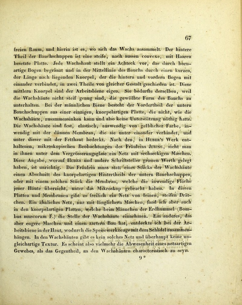 freien Raum, und hierin ist es, wo sich das Wachs ansaninielt. Der hintere Theil der Bauchschuppen ist eine steife, nach aussen convexe, mit Haaren besetzte Platte. Jede Wachshaut stellt ein Achteck vor, das durch hörn- artige Bogen begränzt und in der Mittellinie des Bauchs durch einen kurzen, der Länge nach liegenden Knorpel, der die hintern und vordem Bogen mit einander verbindet, in zwei Theile von gleicher Gestalt geschieden ist. Diese mittlern Knorpel sind der Arbeitsbiene eigen. Sie bedurfte derselben, weil die Wachshäute nicht steif genug sind, die gewölbte Form des Bauchs zu unterhalten. Bei der männlichen Biene besteht der Vordertheil der untern Bauchschuppen aus einer einzigen, knorpelartigen Platte, die nicht, wie die Wachshäute, zusammensinken kann und also keine Unferstützung nöthig hatte. Die Wachshäute sind fest, elastisch, auswendig von gelblicher Farbe, in- wendig mit der dünnen Membran, die sie unter einander verbindet, und unter dieser mit der Fetthaut bedeckt. Nach den, in Huber’s Werk ent- haltenen, mikroskopischen Beobachtungen des Fräuleins Jürine, sieht man in ihnen unter dem Vergrösserungsglase ein Netz mit sechseckigen Maschen. Diese Angabe, worauf Huber und andere Schriftsteller grossen Werth gelegt haben, ist unrichtig. Das Fräulein muss statt ■■eines Stücks der Wach'shäute einen Abschnitt des knorpelartigen Hintertheils der untern Bauchschuppen, oder mit einem solchen Stück die Membran, Welche die inwendige Fläche jener Häute überzieht, unter das Mikroskop gebracht haben. In diesen Platten und Membranen gibt es freiliöh eiri'Netz von feinen, -Steifen Drät- chen. Ein ähnliches Netz, nur mit länglichern Maschen, fand ich aber auch in den knorpelartigen Platten, welche'beim Männchen der Erdhummel (Bom- bus muscorum F.) die Stelle der Wachshäüte einnehmen. Ein anderes, das aber engere Maschen und einen zartem >Bau-hat^ entdeckte ich’bei der Ar- beitsbiene in der Haut, wodurch die Speise Werkzeuge mit dem Schädel züsä'mmen- hängen. In den Wachshäuten gibt es kein solches Netz und überhaupt keine un- gleichartige Textur. Es scheint also vielmehr die Abwesenheit eines netzartigen Gewebes, als das Gegentheil, an den Waclishäuten charäcteristisohi zu seyn. 9^