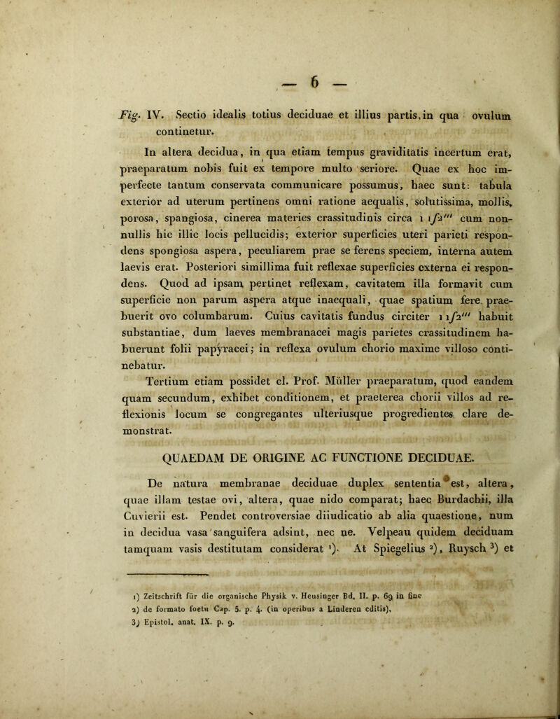 continetur. In altera decidua, in qua etiam tempus graviditatis incertum erat, praeparatum nobis fuit ex tempore multo seriore. Quae ex hoc im- perfecte tantum conservata communicare possumus, liaec sunt: tabula exterior ad uterum pertinens omni ratione aequalis, solutissima, mollis, porosa, spangiosa, cinerea materies crassitudinis circa i ifiHt cum non- nullis hic illic locis pellucidis; exterior superficies uteri parieti respon- dens spongiosa aspera, peculiarem prae se ferens speciem, interna autem laevis erat. Posteriori simillima fuit reflexae superficies externa ei respon- dens. Quod ad ipsam pertinet reflexam, cavitatem illa formavit cum superficie non parum aspera atque inaequali, quae spatium fere prae- buerit ovo columbarum. Cuius cavitatis fundus circiter 111J24 habuit substantiae, dum laeves membranacei magis parietes crassitudinem ha- buerunt folii papyracei; in reflexa ovulum chorio maxime villoso conti- nebatur. Tertium etiam possidet cl. Prof. Mulier praeparatum, quod eandem quam secundum, exhibet conditionem, et praeterea chorii villos ad re- flexionis locum se congregantes ulteriusque progredientes clare de- monstrat. QUAEDAM DE ORIGINE AC FUNCTIONE DECIDUAE. De natura membranae deciduae duplex sententia0est, altera, quae illam testae ovi, altera, quae nido comparat; haec Burdachii, illa Cuvierii est. Pendet controversiae diiudicatio ab alia quaestione, num in decidua vasa sanguifera adsint, nec ne. Velpeau quidem deciduam tamquam vasis destitutam considerat ')• At Spiegelius 1 2), Ruysch 3) et 1) Zeitschrift fur die organische Physik v. Heusioger Bd. II. p. 69 ia Gae 2) de formato foeta Cap. 5. p. 4' C‘n operibus a Linderea editis), 3j Epistol. anat. IX. p. 9.