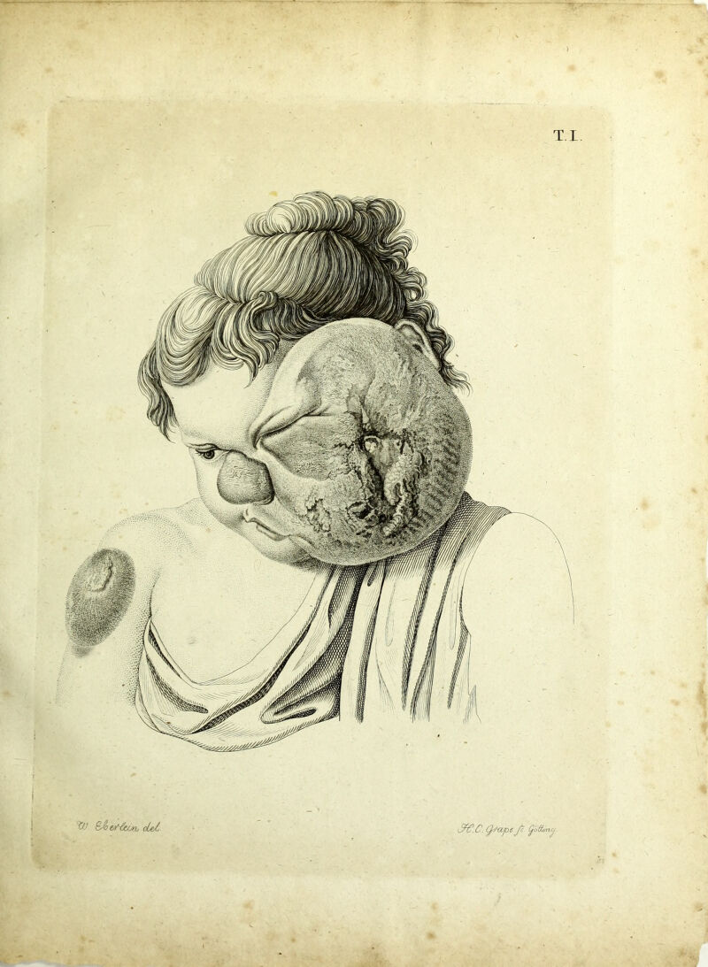 —~ > T.I. &•' oLel JV. C. tyl‘wpe Jc QliftmtCj