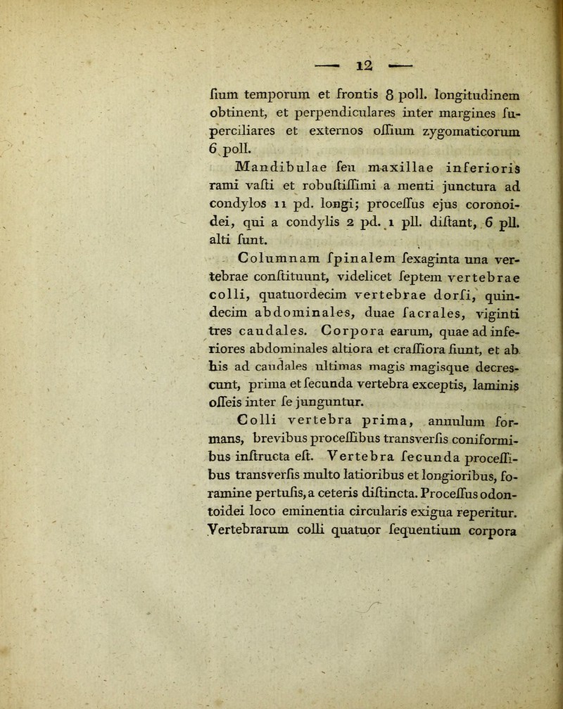 fium temporum et frontis 8 poli, longitudinem obtinent, et perpendiculares inter margines fu- «perciliares et externos olTium zygomaticorum 6^ poli. Mandibulae feu m^axillae inferioris rami vafti et robuftilfimi a menti junctura ad condylos ii pd. longi; procefTus ejus coronoi- dei, qui a condylis 2 pd. i pll. diltant, .6 pll. alti funt. ^ Columnam fpinalem fexaginta una ver- tebrae conftituunt, videlicet feptem vertebrae colli, quatuordecim vertebirae dorfi, quin- decim abdominales, duae facrales, viginti tres caudales. Corpora earum, quaeadinfe- riores abdominales altiora et craifiora bunt, et ab Lis ad caudales ultimas magis magisque decres- cunt, prima et fecunda vertebra exceptis, laminis oITeis inter fe junguntur. Colli vertebra prima, annulum for- mans, brevibus procebibus transverfis coniformi- bus initructa elt. Vertebra fecunda procelTi- bus transverfis multo latioribus et longioribus, fo- ramine pertufis, a ceteris difiincta. ProcelTus odon- toidei loco eminentia circularis exigua reperitur. Vertebrarum colli quatuor fequentium corpora