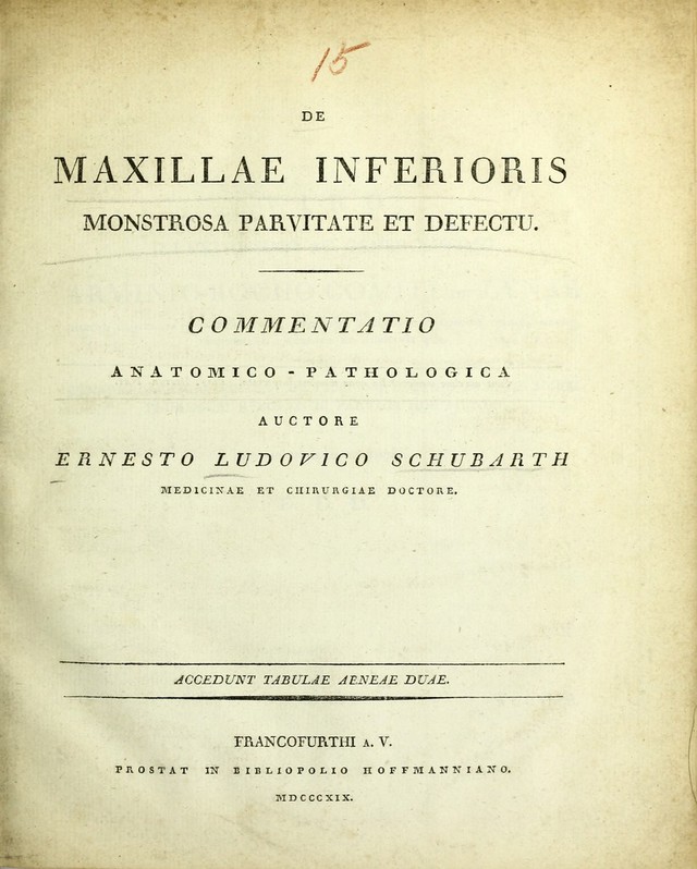 digitised image 1