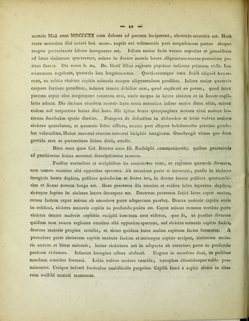 mensis Maii anni MDCCCXX cum dolores ad partum inciperent, obstetrix arcessita est. Horfi sexta matutina diei octavi hui. mens, ruptis ovi velamentis post sesquihoram partus absque magno parturientis labore insequutus est. Infans maior facie versus superius et tpauxilluni ad latus sinistrum spectaverat, minor in dextro matris latere aliquantum versu9 posteriora po- situs fuerat. Die nono h. m» Dr. Greif illius regionis physicus infantes primum vidit. Lac etiamnum sugebant, quamvis iam languescerent. Quotiescumque vero fluidi aliquid hause- runt, ex orbita sinistra capitis minoris semper aliquantulum prodibat. Infans maior quamvis corpore fortiore praeditus, minore tamen debilior erat, quod explicari eo potest, quod inter partum caput eius magnopere vexatum erat, unde magna in latere sinistro et in fronte sugil- latio aderat. Die decimo eiusdem mensis liqra sexta matutina infans maior diem obiit, minor eadem sed vespertina huius diei hora. Hic igitur horas quinquaginta novem vixit maiore ho- rarum duodecim spatio diutius. Puerpera de doloribus in abdomine et labio vulvae maiore sinistro querebatur, et quamvis febre afflicta, tamen post aliquot hebdomades pristina gaude- bat valetudine. Huius monstri causam monstri bicipitis imaginem Osnabrugii visam qua dum gravida erat se perterritam fuisse dixit, attulit. Haec sunt quae Cei. Borries cum 111. Rudolplii communicavit; quibus praemissis ad penitiorem huius monstri descriptionem transeo. Puellae verticibus et occipitibus ita coniunctae sunt, ut regiones quamvis diversas, non tamen omnino sibi oppositas spectent. Ab anteiiore parte si intuearis, puella in sinistro imaginis latere depicta, pollices quindecim et lineas sex, in dextro iacens pollices quatuorde- cim et lineas novem longa est. Haec praeterra illa tenuior et exilior labio leporino duplice, rictuque lupino in sinistro latere deturpata est. Dextrum praeterea faciei latus caput maius, totam faciem caput minus ab anteriore parte adspectum praebet. Dextra maioris capitis auris in sublimi, sinistra minoris capitis iu profundo posita est. Caput minus summa verticis parte sinistra dextro maioris capititis occipiti iunctum esse videtur, quo fit, ut puellae diversas quidem non tamen regiones omnino sibi oppositas spectent, sed sinistra minoris capitis facies, dextrae maioris propius accedat, et sinus quidam inter ambas capitum facies formetur. A posteriore parte sinistram capitis maioris faciem et utriusque capitis occiput, sinistram maio- ris aurem et binas minoris, huius sinistram uti in adspectu ab anteriore parte in profundo positam videmus. Infantes lanugine adime obducti. Ungues in manibus duri, in pedibus nondum omnino formati. Labia vulvae maiora tumida, nymphae clitoridesque valde pro- minentes. Utrique infanti funiculus umbilicalis proprius. Capilli fusci a capite altero in alte- rum nullibi mutati transeunt.