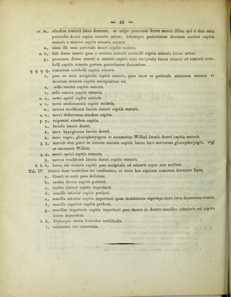 q. q. i», m., eiusdem tentorii latus dextrum , et. origo processus durae matris illius, qui e sinu ossis parietalis dextri capitis maioris oritur, lobumque posteriorem dextrum cerebri capitis maioris a sinistro capitis minoris separat, sinus ille ossis parietalis dextri capitis maioris. falx durae matris quae e sinistro tentorii cerebelli capitis minoris latere oritur, processus durae matris a maioris capitis ossis occipitalis latere sinistro ad tentorii cere- belli capitis minoris partem posteriorem descendens, tentorium cerebelli capitis minoris. pars ea ossis occipitalis capitis maioris, quae inter os parietale sinistrum maioris et dextrum minoris capitis interpositum est. sella turcica capitis maioris, sella turcica capitis minoris, nefvi optici capitis maioris, nervi oculomotorii capitis maioris, nervus trochlearis lateris sinistri capitis maioris, nervi abducentes eiusdem capitis, trigemini eiusdem capitis, facialis lateris dextri, nerv. hypoglossus lateris dextri. nerv. vagus, glossopharyngeus et accessorius Willisii lateris dextri capitis maioris, nervuli duo parvi in sinistro maioris capitis latere loco nervorum glossopharyngei, vagi et accessorii Willisii. nervi optici capitis minoris, nervus trochlearis lateris dextri capitis minoris. locus, ubi maioris capitis pars occipitalis ad minoris caput sese reclinat. Tab. IV. Anates duae verticibus ita confluentes, ut recta hoc capitum concursu formetur linea, a., Cranii et cutis pars deficiens, oculus dexter capitis perfecti, oculus sinister capitis imperfecti, maxilla inferior capitis perfecti. maxilla inferior capitis imperfecti quae in sinistrum capitis perfecti latus decussatim transit, maxilla superior capitis perfecti. maxillae superioris capitis imperfecti pars dextra in dextro maxillae inferioris sui capitis latere dependens. 1). h., Utriusque anatis funiculus umbilicalis, i., ' velamenta ovi communia. n., o. o., V-> q. q., r., s„ t., u. u., V. v., w., X. X., y- y > z., Io 2o 3- 3o 4- 4o 5-> 6. 6. 6., b. , c. , d. , e. , fo §■>