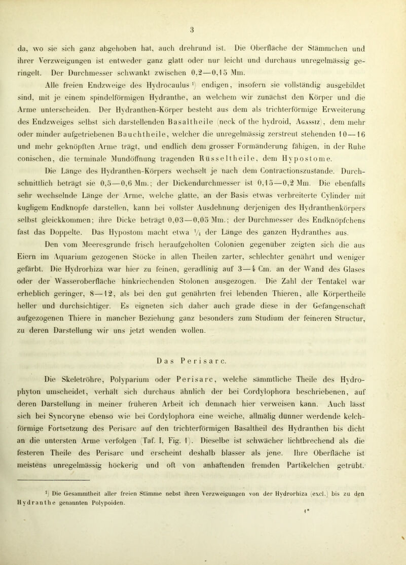 da, wo sie sich ganz abgehoben hat, aucli drehriind ist. Die 01)erfläche der Stämmchen und ihrer Verzweigungen ist entweder ganz glatt oder nur leicht und durchaus unregelmässig ge- ringelt. Der Durchmesser schwankt zwischen 0.2—0,1 5 Mm. Alle freien Endzweige des Hydrocaulus f endigen, insofern sie vollständig ausgebildet sind, mit je einem spindelförmigen Hydranthe, an welchem wir zunächst den Körper und die Arme unterscheiden. Der Hydranthen-Körper besteht aus dem als trichterförmige Erweiterung des Endzweiges selbst sich daislellenden Basaltheile (neck of the hydroid, Ag.assiz), dem mehr oder minder aufgetriebenen Bauchtheile, welcher die unregelmässig zerstreut stehenden 10—16 und mehr geknöpften Arme trägt, und endlich dem grosser Formänderung fähigen, in der Buhe conischen, die terminale Mundöffnung tragenden Büsseltheile, dem Hypostome. Die Länge des Hydranthen-Körpers wechselt je nach dem Contractionszustande. Durch- schnittlich beträgt sie 0,5—0,6 Mm.; der Dickendurchmesser ist 0,15 — 0,2 Mm. Die ebenfalls sehr wechselnde Länge dei- Arme, welche glatte, an der Basis etwas verbreiterte Cylinder mit kugligem Endknopfe darstellen, kann bei vollster Ausdehnung derjenigen des Hydranthenkörpers selbst gleickkommen; ihre Dicke beträgt 0,03 — 0,05 Mm.; der Durchmesser des Endknöpfchens fast das Doppelte. Das Hypostom macht etwa V4 der Länge des ganzen Hydranthes aus. Den vom Meeresgründe frisch heraufgeholten Colonien gegenüber zeigten sich die aus Eiern im Aquarium gezogenen Stöcke in allen Theilen zarter, schlechter genährt und weniger gefärbt. Die Hydrorhiza war hier zu feinen, geradlinig auf 3—4 Cm. an der Wand des Glases oder der Wasseroberfläche hinkriechenden Stolonen ausgezogen. Die Zahl der Tentakel war erheblich geringer, 8—12, als bei den gut genährten frei lebenden Thieren, alle Körpertheile heller und durchsichtiger. Es eigneten sich daher auch grade diese in der Gefangenschaft aufgezogenen Thiere in mancher Beziehung ganz besonders zum Studium der feineren Structur, zu deren Darstellung wir uns jetzt wenden wollen. Das P e r i s a r c. Die Skeletröhre, Polyparium oder Perisarc, welche sämmtliche Theile des Hydro- phyton umscheidet, verhält sich durchaus ähnlich der bei Cordylophora beschriebenen, auf deren Darstellung in meiner früheren Arbeit ich demnach hier verweisen kann. Auch lässt sich bei Syncoryne ebenso wie bei Cordylophora eine weiche, allmälig dünner werdende kelch- förmige Fortsetzung des Perisarc auf den trichterförmigen Basaltheil des Hydranthen bis dicht an die untersten Arme verfolgen Taf. I, Fig. I C Dieselbe ist schwächer lichtbrechend als die festeren Theile des Perisarc und erscheint deshalb blasser als jene. Ihre Oberfläche ist meistens unregelmässig höckerig und oft von anhaftenden fremden Partikelchen getrübt. 1,1 Die Gesammtheit aller freien Stämme nebst ihren Verzweigungen von der Hydrorhiza (excl.) bis zu den Hydranthe genannten Polypoiden. X