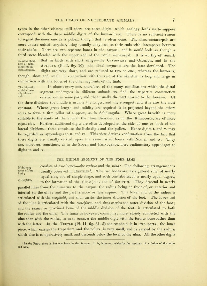types in the other classes; still there are three digits, which analogy leads us to suppose correspond with the three middle digits of the human hand. There is no sufficient reason to regard the inner one as a pollex, though that is often done. The three metacarpals are more or less united together, being usually ankylosed at their ends with interspaces between their shafts. There are two separate bones in the carpus ; and it would look as though a third were blended with the upper end of the triple metacarpal. It is worthy of remark Relative short- that in birds with short wings—the Cassowary and Ostrich, and in the segment irf1 Apteryx (PI. I. fig. 10)—the distal segments are the least developed. The Struthiomdse. digits are very short, and are reduced to two or one; whereas the humerus, though short and small in comparison with the rest of the skeleton, is long and large in comparison with the bones of the other segments of the limb. The tripartite In almost every one, therefore, of the many modifications which tile distal allyobserv^ segment, undergoes in different animals we find the tripartite construction able- carried out in some part, and that usually the part nearest to the forearm. Of the three divisions the middle is usually the longest and the strongest, and it is also the most constant. Where great length and solidity are required it is projected beyond the others so as to form a firm pillar of support, as in Solid ungula. Where great breadth is more suitable to the wants of the animal, the three divisions, as in the Rhinoceros, are of more equal size. Further, additional digits are often developed at the side of one or both of the lateral divisions; these constitute the little digit and the pollex. Hence digits i. and v. may be regarded as appendages to 11. and iv. This view derives confirmation from the fact that these digits are usually carried upon the same carpal bones with Nos. 11. and iv. They are, moreover, sometimes, as in the Sloth and Rhinoceros, mere rudimentary appendages to digits II. and iv. Middle seg- ment of fore limb; in Reptiles, THE MIDDLE SEGMENT OF THE FORE LIMB consists of two bones—the radius and the ulna: The following arrangement is usually observed in Reptiles1. The two bones are, as a general rule, of nearly equal size, and of simple shape, and each contributes, in a nearly equal degree, to the formation of the elbow-joint and of the wrist. They descend in nearly parallel lines from the humerus to the carpus, the radius being in front of, or anterior and internal to, the ulna; and the part is more or less supine. The lower end of the radius is articulated with the scaphoid, and thus carries the inner division of the foot. The lower end of the ulna is articulated with the cuneiform, and thus carries the outer division of the foot; and the lunar, or proximal bone of the middle division of the foot, is articulated to both the radius and the ulna. The lunar is however, commonly, more closely connected with the ulna than with the radius, so as to connect the middle digit with the former bone rather than with the latter. In the Turtle (PI. II. fig. 31, 5) the scaphoid is in two parts; the inner piece, which carries the trapezium and the pollex, is very small, and is carried by the radius, which also is comparatively small, and descends below the level of the ulna. All the other digits ' In the Frog there is but one bone in the forearm. It is, however, evidently the resultant of a fusion of the radius and ulna.
