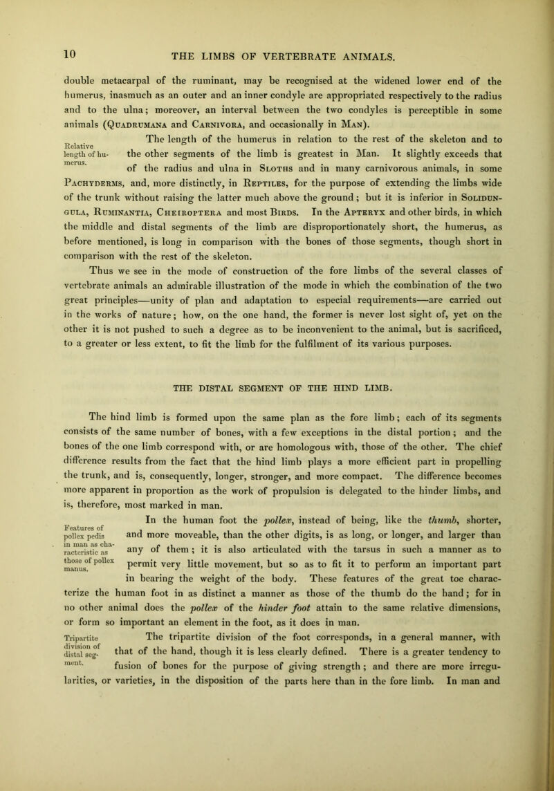double metacarpal of the ruminant, may be recognised at the widened lower end of the humerus, inasmuch as an outer and an inner condyle are appropriated respectively to the radius and to the ulna; moreover, an interval between the two condyles is perceptible in some animals (Quadrumana and Carnivora, and occasionally in Man). The length of the humerus in relation to the rest of the skeleton and to Relative length of hu- the other segments of the limb is greatest in Man. It slightly exceeds that of the radius and ulna in Sloths and in many carnivorous animals, in some Pachyderms, and, more distinctly, in Reptiles, for the purpose of extending the limbs wide of the trunk without raising the latter much above the ground ; but it is inferior in Solidun- gula, Ruminantia, Cheiroptera and most Birds. In the Apteryx and other birds, in which the middle and distal segments of the limb are disproportionately short, the humerus, as before mentioned, is long in comparison with the bones of those segments, though short in comparison with the rest of the skeleton. Thus we see in the mode of construction of the fore limbs of the several classes of vertebrate animals an admirable illustration of the mode in which the combination of the two great principles—unity of plan and adaptation to especial requirements—are carried out in the works of nature; how, on the one hand, the former is never lost sight of, yet on the other it is not pushed to such a degree as to be inconvenient to the animal, but is sacrificed, to a greater or less extent, to fit the limb for the fulfilment of its various purposes. THE DISTAL SEGMENT OF THE HIND LIMB. The hind limb is formed upon the same plan as the fore limb; each of its segments consists of the same number of bones, with a few exceptions in the distal portion; and the bones of the one limb correspond with, or are homologous with, those of the other. The chief difference results from the fact that the hind limb plays a more efficient part in propelling the trunk, and is, consequently, longer, stronger, and more compact. The difference becomes more apparent in proportion as the work of propulsion is delegated to the hinder limbs, and is, therefore, most marked in man. In the human foot the pollex, instead of being, like the thumb, shorter, and more moveable, than the other digits, is as long, or longer, and larger than any of them ; it is also articulated with the tarsus in such a manner as to permit very little movement, but so as to fit it to perform an important part in bearing the weight of the body. These features of the great toe charac- terize the human foot in as distinct a manner as those of the thumb do the hand ; for in no other animal does the pollex of the hinder foot attain to the same relative dimensions, or form so important an element in the foot, as it does in man. Tripartite The tripartite division of the foot corresponds, in a general manner, with distal seg-^ that the hand, though it is less clearly defined. There is a greater tendency to fusion of bones for the purpose of giving strength; and there are more irregu- larities, or varieties, in the disposition of the parts here than in the fore limb. In man and Features of pollex pedis in man as cha- racteristic as those of pollex manus.