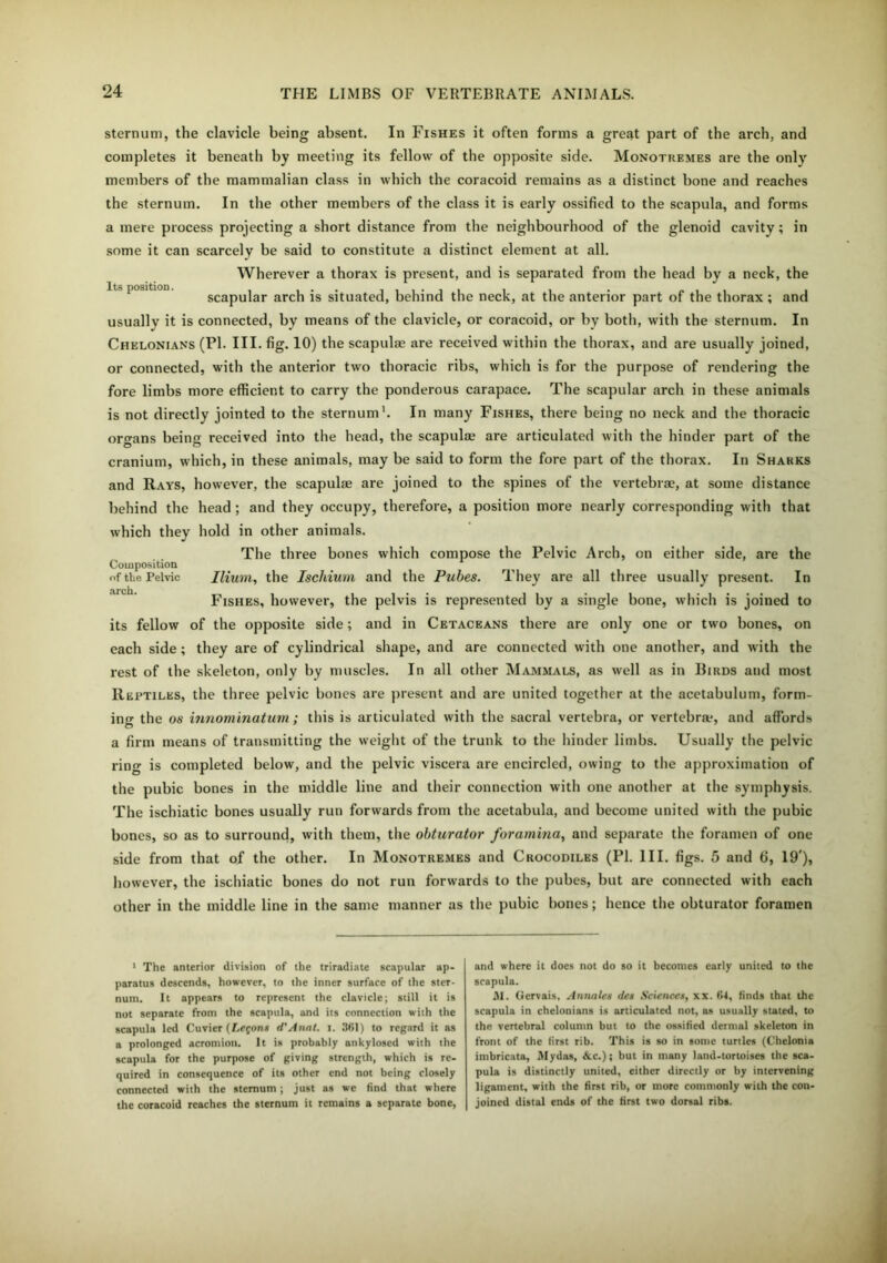 Its position. sternum, the clavicle being absent. In Fishes it often forms a great part of the arch, and completes it beneath by meeting its fellow of the opposite side. Monotremes are the only members of the mammalian class in which the coracoid remains as a distinct bone and reaches the sternum. In the other members of the class it is early ossified to the scapula, and forms a mere process projecting a short distance from the neighbourhood of the glenoid cavity; in some it can scarcely be said to constitute a distinct element at all. Wherever a thorax is present, and is separated from the head by a neck, the scapular arch is situated, behind the neck, at the anterior part of the thorax; and usuallv it is connected, by means of the clavicle, or coracoid, or by both, with the sternum. In Chelonians (PI. III. fig. 10) the scapulae are received within the thorax, and are usually joined, or connected, with the anterior two thoracic ribs, which is for the purpose of rendering the fore limbs more efficient to carry the ponderous carapace. The scapular arch in these animals is not directly jointed to the sternum1. In many Fishes, there being no neck and the thoracic organs being received into the head, the scapulae are articulated with the hinder part of the cranium, which, in these animals, may be said to form the fore part of the thorax. In Sharks and Rays, however, the scapulae are joined to the spines of the vertebrae, at some distance behind the head ; and they occupy, therefore, a position more nearly corresponding with that which they hold in other animals. The three bones which compose the Pelvic Arch, on either side, are the Composition «f the Pelvic Ilium, the Ischium and the Pubes. They are all three usually present. In Fishes, however, the pelvis is represented by a single bone, which is joined to its fellow of the opposite side; and in Cetaceans there are only one or two bones, on each side ; they are of cylindrical shape, and are connected with one another, and with the rest of the skeleton, only by muscles. In all other Mammals, as well as in Birds and most Reptiles, the three pelvic bones are present and are united together at the acetabulum, form- ing the os iimominatum; this is articulated with the sacral vertebra, or vertebrae, and affords a firm means of transmitting the weight of the trunk to the hinder limbs. Usually the pelvic ring is completed below, and the pelvic viscera are encircled, owing to the approximation of the pubic bones in the middle line and their connection with one another at the symphysis. The ischiatic bones usually run forwards from the acetabula, and become united with the pubic bones, so as to surround, with them, the obturator foramina, and separate the foramen of one side from that of the other. In Monotremes and Crocodiles (PI. III. figs. 5 and 6, 19'), however, the ischiatic bones do not run forwards to the pubes, but are connected with each other in the middle line in the same manner as the pubic bones; hence the obturator foramen 1 The anterior division of the triradiate scapular ap- paratus descends, however, to the inner surface of the ster- num. It appears to represent the clavicle; still it is not separate from the scapula, and its connection with the scapula led Cuvier (Lemons d'Annl. i. 361) to regard it as a prolonged acromion. It is probably ankylosed with the scapula for the purpose of giving strength, which is re- quired in consequence of its other end not being closely connected with the sternum ; just as we find that where the coracoid reaches the sternum it remains a separate bone, and where it does not do so it becomes early united to the scapula. ill. Gervais, Annales des Sciences, xx. 64, finds that the scapula in chelonians is articulated not, as usually stated, to the vertebral column but to the ossified dermal skeleton in front of the first rib. This is so in some turtles (Chelonia imbricata, Mydas, &c.); but in many land-tortoises the sca- pula is distinctly united, either directly or by intervening ligament, with the first rib, or more commonly with the con- joined distal ends of the first two dorsal ribs.