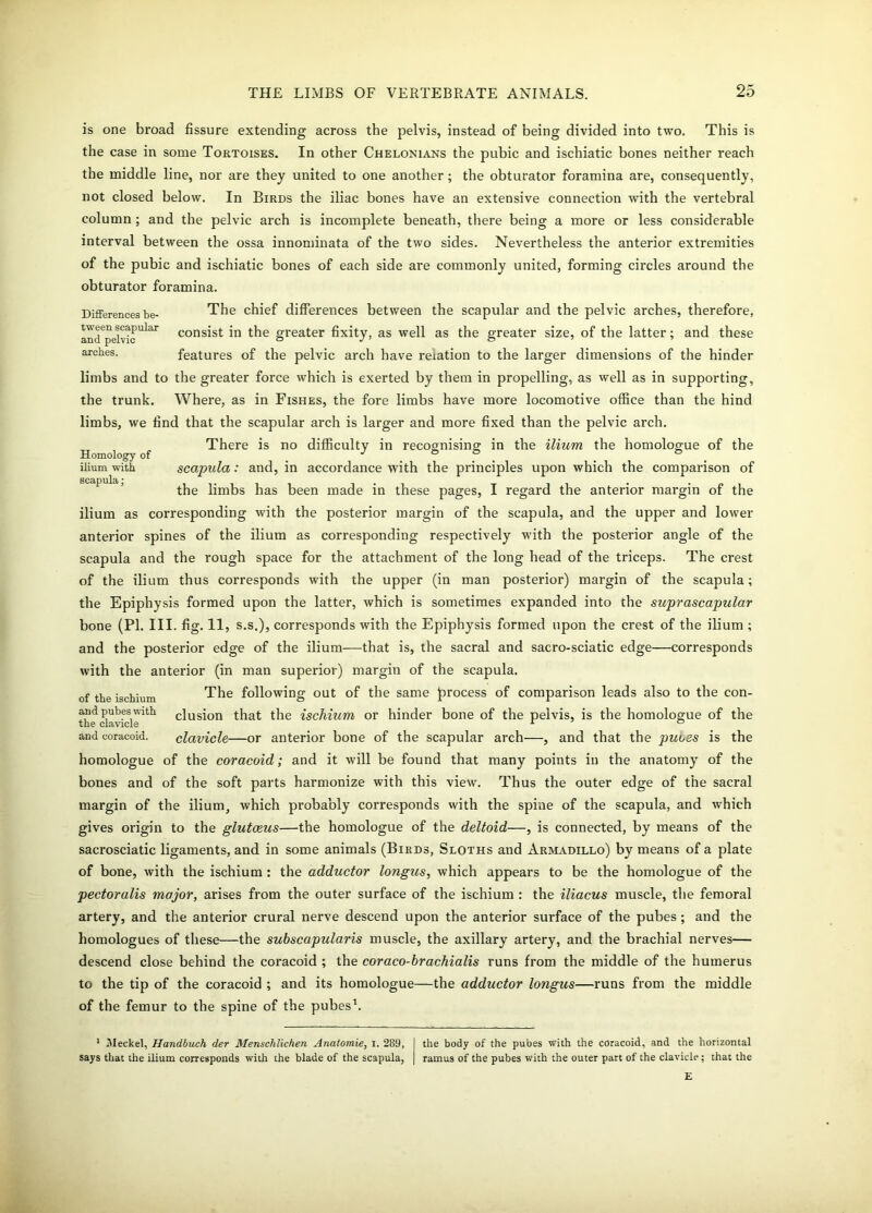 is one broad fissure extending across the pelvis, instead of being divided into two. This is the case in some Tortoises. In other Chelonians the pubic and ischiatic bones neither reach the middle line, nor are they united to one another; the obturator foramina are, consequently, not closed below. In Birds the iliac bones have an extensive connection with the vertebral column; and the pelvic arch is incomplete beneath, there being a more or less considerable interval between the ossa innominata of the two sides. Nevertheless the anterior extremities of the pubic and ischiatic bones of each side are commonly united, forming circles around the obturator foramina. Differences be- The chief differences between the scapular and the pelvic arches, therefore, and^elvic111^ consist in the greater fixity, as well as the greater size, of the latter; and these arches. features of the pelvic arch have relation to the larger dimensions of the hinder limbs and to the greater force which is exerted by them in propelling, as well as in supporting, the trunk. Where, as in Fishes, the fore limbs have more locomotive office than the hind limbs, we find that the scapular arch is larger and more fixed than the pelvic arch. There is no difficulty in recognising in the ilium the homologue of the Homology of _ J . . . ° ilium with scapula: and, in accordance with the principles upon which the comparison of scapula * . , the limbs has been made in these pages, I regard the anterior margin of the ilium as corresponding with the posterior margin of the scapula, and the upper and lower anterior spines of the ilium as corresponding respectively with the posterior angle of the scapula and the rough space for the attachment of the long head of the triceps. The crest of the ilium thus corresponds with the upper (in man posterior) margin of the scapula; the Epiphysis formed upon the latter, which is sometimes expanded into the suprascapular bone (PI. III. fig. 11, s.s.), corresponds with the Epiphysis formed upon the crest of the ilium ; and the posterior edge of the ilium—that is, the sacral and sacro-sciatic edge—corresponds with the anterior (in man superior) margin of the scapula. of the ischium The following out of the same process of comparison leads also to the con- and pubes with clusion that the ischium or hinder bone of the pelvis, is the homologue of the and coracoid. clavicle—or anterior bone of the scapular arch—, and that the puces is the homologue of the coracoid; and it will be found that many points in the anatomy of the bones and of the soft parts harmonize with this view. Thus the outer edge of the sacral margin of the ilium, which probably corresponds %vith the spine of the scapula, and which gives origin to the glutceus—the homologue of the deltoid—, is connected, by means of the sacrosciatic ligaments, and in some animals (Birds, Sloths and Armadillo) by means of a plate of bone, with the ischium : the adductor longus, which appears to be the homologue of the pectoralis major, arises from the outer surface of the ischium : the iliacus muscle, the femoral artery, and the anterior crural nerve descend upon the anterior surface of the pubes; and the homologues of these—the subscapularis muscle, the axillary artery, and the brachial nerves— descend close behind the coracoid ; the coraco-brachialis runs from the middle of the humerus to the tip of the coracoid ; and its homologue—the adductor longus—runs from the middle of the femur to the spine of the pubes1 *. 1 Meckel, Handbuch der Menschlichen Anatomie, i. 289, | the body of the pubes With the coracoid, and the horizontal says that the ilium corresponds with the blade of the scapula, | ramus of the pubes with the outer part of the clavicle; that the