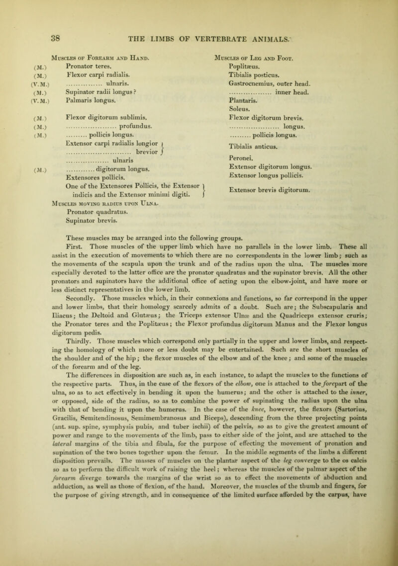 Muscles of Forearm and Hand. Muscles of Leg and Foot. (M.) Pronator teres. Poplitaeus. M. Flexor carpi radialis. Tibialis posticus. (V.M.) ulnaris. Gastrocnemius, outer head. (31.) Supinator radii longus? inner head. (V.M.) Palmaris longus. Plantaris. Soleus. (31.) Flexor digitorum sublimis. Flexor digitorum brevis. (31.) profundus. longus. (31.) pollicis longus. pollicis longus. Extensor carpi radialis longior | brevior / Tibialis anticus. ulnaris Peronei. (31.) digitorum longus. Extensor digitorum longus. Extensores pollicis. Extensor longus pollicis. One of the Extensores Pollicis, the Extensor 1 Extensor brevis digitorum. indicis and the Extensor minimi digiti. ) Muscles moving radius upon Ulna. Pronator quadratus. Supinator brevis. These muscles may be arranged into the following groups. First. Those muscles of the upper limb which have no parallels in the lower limb. These all assist in the execution of movements to which there are no correspondents in the lower limb; such as the movements of the scapula upon the trunk and of the radius upon the ulna. The muscles more especially devoted to the latter office are the pronator quadratus and the supinator brevis. All the other pronators and supinators have the additional office of acting upon the elbow-joint, and have more or less distinct representatives in the lower limb. Secondly. Those muscles which, in their connexions and functions, so far correspond in the upper and lower limbs, that their homology scarcely admits of a doubt. Such are; the Subscapularis and Iliacus; the Deltoid and Glutams; the Triceps extensor Ulnaj and the Quadriceps extensor cruris; the Pronator teres and the Poplitaeus; the Flexor profundus digitorum Manus and the Flexor longus digitorum pedis. Thirdly. Those muscles which correspond only partially in the upper and lower limbs, and respect- ing the homology of which more or less doubt may be entertained. Such are the short muscles of the shoulder and of the hip; the flexor muscles of the elbow and of the knee; and some of the muscles of the forearm and of the leg. The differences in disposition are such as, in each instance, to adapt the muscles to the functions of the respective parts. Thus, in the case of the flexors of the elbow, one is attached to the forepart of the ulna, so as to act effectively in bending it upon the humerus; and the other is attached to the inner, or opposed, side of the radius, so as to combine the power of supinating the radius upon the ulna with that of bending it upon the humerus. In the case of the knee, however, the flexors (Sartorius, Gracilis, Semitendinosus, Semimembranosus and Biceps), descending from the three projecting points (ant. sup. spine, symphysis pubis, and tuber ischii) of the pelvis, so as to give the greatest amount of power and range to the movements of the limb, pass to either side of the joint, and are attached to the lateral margins of the tibia and fibula, for the purpose of effecting the movement of pronation and supination of the two bones together upon the femur. In the middle segments of the limbs a different disposition prevails. The masses of muscles on the plantar aspect of the leg converge to the os calcis so as to perform the difficult work of raising the heel; whereas the muscles of the palmar aspect of the forearm diverge towards the margins of the wrist so as to effect the movements of abduction and adduction, as well as those of flexion, of the hand. Moreover, the muscles of the thumb and fingers, for the purpose of giving strength, and in consequence of the limited surface afforded by the carpus, have
