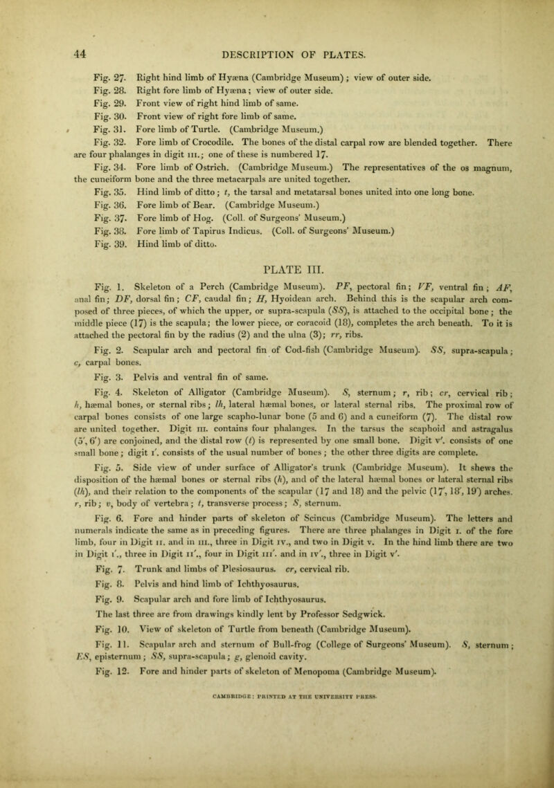 Fig. 27- Right hind limb of Hyaena (Cambridge Museum) ; view of outer side. Fig. 28. Right fore limb of Hyaena; view of outer side. Fig. 29. Front view of right hind limb of same. Fig. 30. Front view of right fore limb of same. Fig. 31. Fore limb of Turtle. (Cambridge Museum.) Fig. 32. Fore limb of Crocodile. The bones of the distal carpal row are blended together. There are four phalanges in digit hi.; one of these is numbered 17. Fig. 34. Fore limb of Ostrich. (Cambridge Museum.) The representatives of the os magnum, the cuneiform bone and the three metacarpals are united together. Fig. 35. Hind limb of ditto; t, the tarsal and metatarsal bones united into one long bone. Fig. 36. Fore limb of Bear. (Cambridge Museum.) Fig. 37- Fore limb of Hog. (Coll, of Surgeons’ Museum.) Fig. 38. Fore limb of Tapirus Indicus. (Coll, of Surgeons’ Museum.) Fig. 39. Hind limb of ditto. PLATE III. Fig. 1. Skeleton of a Perch (Cambridge Museum). PF, pectoral fin; VF, ventral fin; AF, anal fin; DF, dorsal fin; CF, caudal fin; H, Hyoidean arch. Behind this is the scapular arch com- posed of three pieces, of which the upper, or supra-scapula (55), is attached to the occipital bone; the middle piece (17) is the scapula; the lower piece, or coracoid (18), completes the arch beneath. To it is attached the pectoral fin by the radius (2) and the ulna (3); rr, ribs. Fig. 2. Scapular arch and pectoral fin of Cod-fish (Cambridge Museum). 55, supra-scapula; c, carpal bones. Fig. 3. Pelvis and ventral fin of same. Fig. 4. Skeleton of Alligator (Cambridge Museum). 5, sternum; r, rib; cr, cervical rib; h, haemal bones, or sternal ribs; Ih, lateral haemal bones, or lateral sternal ribs. The proximal row of carpal bones consists of one large scapho-lunar bone (5 and 6) and a cuneiform (7). The distal row are united together. Digit in. contains four phalanges. In the tarsus the scaphoid and astragalus (5', 6') are conjoined, and the distal row (l) is represented by one small bone. Digit v'. consists of one small bone; digit i. consists of the usual number of bones; the other three digits are complete. Fig. 5. Side view of under surface of Alligator’s trunk (Cambridge Museum). It shews the disposition of the haemal bones or sternal ribs ([h), and of the lateral haemal bones or lateral sternal ribs (Ih), and their relation to the components of the scapular (17 and 18) and the pelvic (17% 18', 19 ) arches, r, rib; v, body of vertebra; t, transverse process; 5, sternum. Fig. 6. Fore and hinder parts of skeleton of Scincus (Cambridge Museum). The letters and numerals indicate the same as in preceding figures. There are three phalanges in Digit 1. of the fore limb, four in Digit 11. and in 111., three in Digit iv., and two in Digit v. In the hind limb there are two in Digit 1'., three in Digit li'., four in Digit in', and in iv'., three in Digit v'. Fig. 7• Trunk and limbs of Plesiosaurus, cr, cervical rib. Fig. 8. Pelvis and hind limb of Ichthyosaurus. Fig. 9. Scapular arch and fore limb of Ichthyosaurus. The last three are from drawings kindly lent by Professor Sedgwick. Fig. 10. View of skeleton of Turtle from beneath (Cambridge Museum). Fig. 11. Scapular arch and sternum of Bull-frog (College of Surgeons’Museum). 5, sternum; ESy episternum; 55, supra-scapula; g, glenoid cavity. Fig. 12. Fore anil hinder parts of skeleton of Menopoma (Cambridge Museum). CAMBRIDGE: PRINTED AT TUB UNIVEUSITT PRESS.