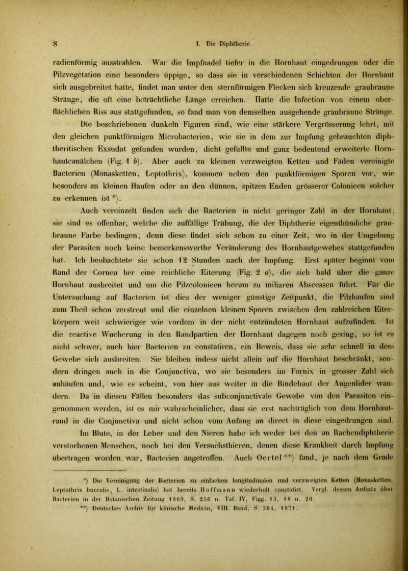 radienförmig ausstrahlen. War die Impfnadel tiefer in die Hornhaut eingedrungen oder die Pilzvegetation eine besonders üppige, so dass sie in verschiedenen Schichten der Hornhaut sich ausgebreitet hatte, findet man unter den sternförmigen Flecken sich kreuzende graubraune Stränge, die oft eine beträchtliche Länge erreichen. Hatte die Infection von einem ober- flächlichen Riss aus stattgefunden, so fand man von demselben ausgehende graubraune Stränge. Die beschriebenen dunkeln Figuren sind, wie eine stärkere Vergrösserung lehrt, mit den gleichen punktförmigen Microbacterien, wie sie in dem zur Impfung gebrauchten diph- theritischen Exsudat gefunden wurden, dicht gefüllte und ganz bedeutend erweiterte Horn- hautcanälchen (Fig. 1 b). Aber auch zu kleinen verzweigten Ketten und Fäden vereinigte Bacterien (Monasketten, Leptothrix), kommen neben den punktförmigen Sporen vor, wie besonders an kleinen Haufen oder an den dünnen, spitzen Enden grösserer Colonieen solcher zu erkennen ist * **)). Auch vereinzelt finden sich die Bacterien in nicht geringer Zahl in der Hornhaut; sie sind es offenbar, welche die auffällige Trübung, die der Diphtherie eigenthümliche grau- braune Farbe bedingen; denn diese findet sich schon zu einer Zeit, wo in der Umgebung der Parasiten noch keine bemerkenswerthe Veränderung des Hornhautgewebes stattgefunden hat. Ich beobachtete sie schon 12 Stunden nach der Impfung. Erst später beginnt vom Rand der Cornea her eine reichliche Eiterung (Fig. 2 a), die sich bald über die ganze Hornhaut ausbreitet und um die Pilzcolonieen herum zu miliaren Abscessen führt. Für die Untersuchung auf Bacterien ist dies der weniger günstige Zeitpunkt, die Pilzhaufen sind zum Theil schon zerstreut und die einzelnen kleinen Sporen zwischen den zahlreichen Eiter- körpern weit schwieriger wie vordem in der nicht entzündeten Hornhaut aufzufinden. Ist die reactive Wucherung in den Randpartien der Hornhaut dagegen noch gering, so ist es nicht schwer, auch hier Bacterien zu constatiren, ein Beweis, dass sie sehr schnell in dem Gewebe sich ausbreiten. Sie bleiben indess nicht allein auf die Hornhaut beschränkt, son- dern dringen auch in die Conjunctiva, wo sie besonders im Fornix in grosser Zahl sich anhäufen und, wie es scheint, von hier aus weiter in die Bindehaut der Augenlider wan- dern. Da in diesen Fällen besonders das subconjunctivale Gewebe von den Parasiten ein- genommen werden, ist es mir wahrscheinlicher, dass sie erst nachträglich von dem Ilornhaul- rand in die Conjunctiva und nicht schon vom Anfang an direct in diese eingedrungen sind. Im Blute, in der Leber und den Nieren habe ich weder bei den an Rachendiphtherie verstorbenen Menschen, noch bei den Versuchsthieren, denen diese Krankheit durch Impfung übertragen worden war, Bacterien angetroffen. Auch Oertel '*) fand, je nach dem Grade *) Die Vereinigung der Bacterien zu einfachen longitudinalen und verzweigten Ketleu (Monasketten, Leptothrix buccalis, L. intestinalis) hat bereits Hoffmann wiederholt constatirl. Vergl. dessen Aufsatz über Bacterien in der Botanischen Zeitung 1 869, S. 256 u. Taf. IV, Figg. 13, 18 u. 20. **) Deutsches Archiv für klinische Medicin, VIII. Band, S. 304, 1 871.