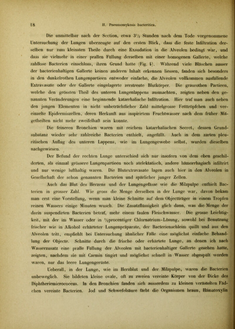 Die unmittelbar nach der Section, etwa 3V2 Stunden nach dem Tode vorgenommene Untersuchung der Lungen überzeugte auf den ersten Blick, dass die feste Infiltration der- selben nur zum kleinsten Theile durch eine Exsudation in die Alveolen bedingt war, und dass sie vielmehr in einer prallen Füllung derselben mit einer homogenen Gallerte, welche zahllose Bacterien einschloss, ihren Grund hatte (Fig. 4). Wahrend viele Bläschen ausser der bacterienhaltigen Gallerte keinen anderen Inhalt erkennen liessen, fanden sich besonders in den dunkelrothen Lungenpartieen entweder einfache, die Alveolen vollkommen ausfüllende Extravasate oder der Gallerte eingelagerte zerstreute Blutkörper. Die graurothen Partieen, welche den grössten Theil des unteren Lungenlappens ausmachten, zeigten neben den ge- nannten Veränderungen eine beginnende katarrhalische Infiltration. Hier traf man auch neben den jungen Elementen in nicht unbeträchtlicher Zahl mittelgrosse Fetttröpfchen und ver- einzelte Epidermiszellen, deren Herkunft aus inspirirtem Fruchtwasser nach dem früher Mit- getheilten nicht mehr zweifelhaft sein konnte. Die feineren Bronchien waren mit reichem katarrhalischen Secret, dessen Grund- substanz wieder sehr zahlreiche Bacterien enthielt, angefüllt. Auch in dem zarten pleu- ritischen Anflug des unteren Lappens, wie im Lungengewebe selbst, wurden dieselben nachgewiesen. Der Befund der rechten Lunge unterschied sich nur insofern von dem eben geschil- derten, als einmal grössere Lungenpartieen noch atelektatisch, andere hämorrhagisch infiltrirt und nur wenige lufthaltig waren. Die Blutextravasate lagen auch hier in den Alveolen in Gesellschaft der schon genannten Bacterien und spärlicher junger Zellen. Auch das Blut des Herzens und der Lungengefässe wie die Milzpulpe enthielt Bac- terien in grosser Zahl. Wie gross die Menge derselben in der Lunge war, davon bekam man erst eine Vorstellung, wenn man kleine Schnitte auf dem Objectträger in einem Tropfen reinen Wassers einige Minuten wusch. Die Zusatzflüssigkeit glich dann, was die Menge der darin suspendirten Bacterien betraf, mehr einem faulen Fleischwasser. Die grosse Leichtig- keit, mit der im Wasser oder in Vapi'ocentiger Chlornatrium-Lösung, sowohl bei Benutzung frischer wie in Alkohol erhärteter Lungenpräparate, der Bacterienschleim quillt und aus den Alveolen tritt, empfiehlt bei Untersuchung ähnlicher Fälle eine möglichst einfache Behand- lung der Objecte. Schnitte durch die frische oder erhärtete Lunge, an denen ich nach Wasserzusatz eine pialle Füllung der Alveolen mit bacterienhaltiger Gallerte gesehen hatte, zeigten, nachdem sie mit Carmin tingirt und möglichst schnell in Wasser abgespült worden waren, nur das leere Lungengerüste. Ueberall, in der Lunge, wie im Herzblut und der Milzpulpe, waren die Bacterien unbeweglich. Sie bildeten kleine ovale, oft zu zweien vereinte Körper von der Dicke des Diphtheriemicrococcus. In den Bronchien fanden sich ausserdem zu kleinen verästelten Fäd- chen vereinte Bacterien. Jod und Schwefelsäure färbt die Organismen braun, Hämatoxylin