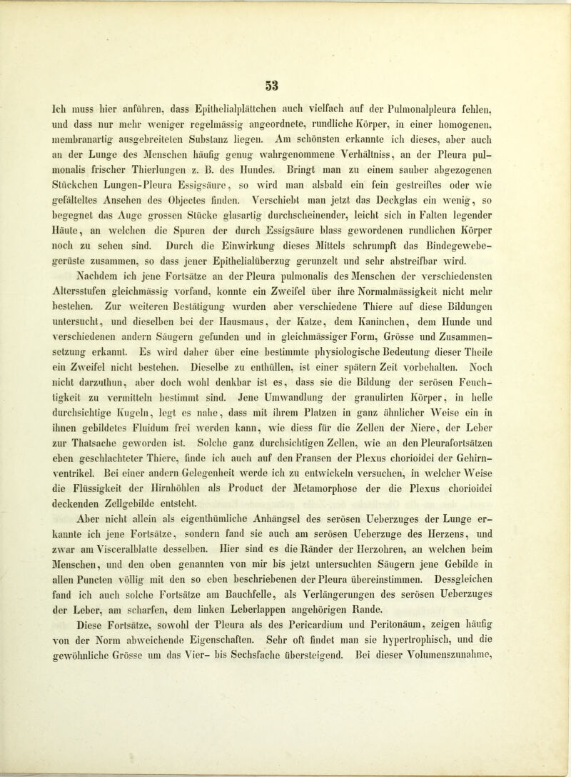 Ich muss hier anfiihren, dass Epithelialplättchen auch vielfach auf der Pulmonalpleura fehlen, und dass nur mehr weniger regelmässig angeordnete, rundliche Körper, in einer homogenen, membranartig ausgebreiteten Substanz liegen. Am schönsten erkannte ich dieses, aber auch an der Lunge des Menschen häufig genug wahrgenommene Verhältnis, an der Pleura pul- monalis frischer Thierlungen z. B. des Hundes. Bringt man zu einem sauber abgezogenen Stückchen Lun gen-Pleura Essigsäure, so wird man alsbald ein fein gestreiftes oder wie gefälteltes Ansehen des Objectes finden. Verschiebt man jetzt das Deckglas ein wenig, so begegnet das Auge grossen Stücke glasartig durchscheinender, leicht sich in Falten legender Häute, an welchen die Spuren der durch Essigsäure blass gewordenen rundlichen Körper noch zu sehen sind. Durch die Einwirkung dieses Mittels schrumpft das Bindegewebe- gerüste zusammen, so dass jener Epithelialüberzug gerunzelt und sehr abstreifbar wird. Nachdem ich jene Fortsätze an der Pleura pulmonalis des Menschen der verschiedensten Altersstufen gleichmässig vorfand, konnte ein Zweifel über ihre Normalmässigkeit nicht mehr bestehen. Zur weiteren Bestätigung wurden aber verschiedene Thiere auf diese Bildungen untersucht, und dieselben bei der Hausmaus, der Katze, dem Kaninchen, dem Hunde und verschiedenen andern Säugern gefunden und in gleichmässiger Form, Grösse und Zusammen- setzung erkannt. Es wird daher über eine bestimmte physiologische Bedeutung dieser Theile ein Zweifel nicht bestehen. Dieselbe zu enthüllen, ist einer spätem Zeit Vorbehalten. Noch nicht darzulhun, aber doch wohl denkbar ist es, dass sie die Bildung der serösen Feuch- tigkeit zu vermitteln bestimmt sind. Jene Umwandlung der granulirten Körper, in helle durchsichtige Kugeln, legt es nahe, dass mit ihrem Platzen in ganz ähnlicher Weise ein in ihnen gebildetes Fluidum frei werden kann, wie diess für die Zellen der Niere, der Leber zur Thatsache geworden ist. Solche ganz durchsichtigen Zellen, wie an den Pleurafortsätzen eben geschlachteter Thiere, finde ich auch auf den Fransen der Plexus chorioidei der Gehirn- ventrikel. Bei einer andern Gelegenheit werde ich zu entwickeln versuchen, in welcher Weise die Flüssigkeit der Hirnhöhlen als Product der Metamorphose der die Plexus chorioidei deckenden Zellgebilde entsteht. Aber nicht allein als eigentümliche Anhängsel des serösen Ueberzuges der Lunge er- kannte ich jene Fortsätze, sondern fand sie auch am serösen Ueberzuge des Herzens, und zwar am Visceralblatte desselben. Hier sind es die Ränder der Ilerzohren, an welchen beim Menschen, und den oben genannten von mir bis jetzt untersuchten Säugern jene Gebilde in allen Puncten völlig mit den so eben beschriebenen der Pleura übereinstimmen. Dessgleichen fand ich auch solche Fortsätze am Bauchfelle, als Verlängerungen des serösen Ueberzuges der Leber, am scharfen, dem linken Leberlappen angehörigen Rande. Diese Fortsätze, sowohl der Pleura als des Pericardium und Peritonäum, zeigen häufig von der Norm abweichende Eigenschaften. Sehr oft findet man sie hypertrophisch, und die newölmliche Grösse um das Vier- bis Sechsfache übersteigend. Bei dieser Volumenszunahme, o c*