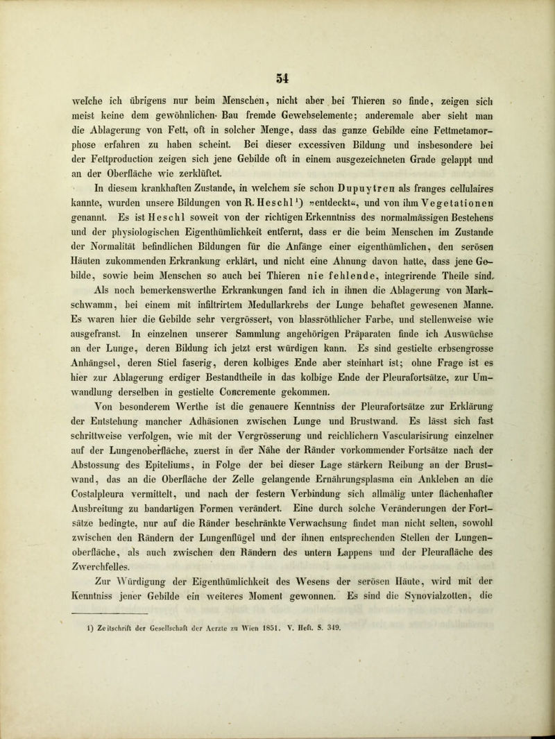 welche ich übrigens nur beim Menschen, nicht aber bei Thieren so finde, zeigen sich meist keine dem gewöhnlichen- Bau fremde Gewebselemente; anderemale aber sieht man die Ablagerung von Fett, oft in solcher Menge, dass das ganze Gebilde eine Fettmetamor- phose erfahren zu haben scheint. Bei dieser excessiven Bildung und insbesondere bei der Fettproduction zeigen sich jene Gebilde oft in einem ausgezeichneten Grade gelappt und an der Oberfläche wie zerklüftet. In diesem krankhaften Zustande, in welchem sie schon Dupuytren als franges cellulaires kannte, wurden unsere Bildungen von R. He sc hl *) «entdeckt«, und von ihm Vegetationen genannt. Es istHeschl soweit von der richtigen Erkenntniss des normalmässigen Bestehens und der physiologischen Eigenthümlichkeit entfernt, dass er die beim Menschen im Zustande der Normalität befindlichen Bildungen für die Anfänge einer eigentlnimlichen, den serösen Häuten zukommenden Erkrankung erklärt, und nicht eine Ahnung davon hatte, dass jene Ge- bilde, sowie beim Menschen so auch bei Thieren nie fehlende, integrirende Theile sind. Als noch bemerkenswerthe Erkrankungen fand ich in ihnen die Ablagerung von Mark- schwamm, bei einem mit infiltrirtem Medullarkrebs der Lunge behaftet gewesenen Manne. Es waren hier die Gebilde sehr vergrössert, von blassröthlicher Farbe, und stellenweise wie ausgefranst. In einzelnen unserer Sammlung angehörigen Präparaten finde ich Auswüchse an der Lunge, deren Bildung ich jetzt erst würdigen kann. Es sind gestielte erbsengrosse Anhängsel, deren Stiel faserig, deren kolbiges Ende aber steinhart ist; ohne Frage ist es hier zur Ablagerung erdiger Bestandteile in das kolbige Ende der Pleurafortsälze, zur Um- wandlung derselben in gestielte Concremente gekommen. Von besonderem Werthe ist die genauere Kenntniss der Pleurafortsätze zur Erklärung der Entstehung mancher Adhäsionen zwischen Lunge und Brustwand. Es lässt sich fast schrittweise verfolgen, wie mit der Vergrösserung und reichlichem Vascularisirung einzelner auf der Lungenoberfläche, zuerst in der Nähe der Ränder vorkommender Fortsätze nach der Abstossung des Epiteliums, in Folge der bei dieser Lage stärkern Reibung an der Brust- wand, das an die Oberfläche der Zelle gelangende Ernährungsplasma ein Ankleben an die Costalpleura vermittelt, und nach der festem Verbindung sich allmälig unter flächenhafter Ausbreitung zu bandartigen Formen verändert. Eine durch solche Veränderungen der Fort- sätze bedingte, nur auf die Ränder beschränkte Verwachsung findet man nicht selten, sowohl zwischen den Rändern der Lungenflügel und der ihnen entsprechenden Stellen der Lungen- oberfläche, als auch zwischen den Rändern d^s untern Lappens und der Pleurafläche des Zwerchfelles. Zur Würdigung der Eigenthümlichkeit des Wesens der serösen Häute, wird mit der Kenntniss jener Gebilde ein weiteres Moment gewonnen. Es sind die Synovialzollen, die 1) Zeitschrift der Gesellschaft der Acrzte zu Wien 185t. V. Heft. S. 319.