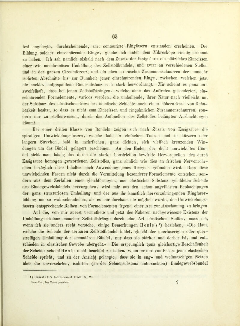 fest angelegte, durchscheinende, zart contourirte Ringfasern entstanden erscheinen. Die Bildung solcher einschnürender Ringe, glaube ich unter dem Mikroskope richtig erkannt zu haben. Ich sah nämlich alsbald nach dem Zusatz der Essigsäure ein plötzliches Einreissen einer wie membranösen Umhüllung des Zellstoffhündels, und zwar an verschiedenen Stellen und in der ganzen Circumferenz, und ein eben so rasches Zusammenschnurren der nunmehr isolirten Abschnitte bis zur Dünnheit jener einschnürenden Ringe, zwischen welchen jetzt die nackte, aufgequollene Bindesubstanz sich stark hervordrängt. Mir scheint es ganz un- zweifelhaft, dass bei jenen Zellstoifsträngen, welche ohne das Auftreten gesonderter, ein- schnürender Formelemente, varicös werden, aie umhüllende, ihrer Natur nach vielleicht mit der Substanz des elastischen Gewebes identische Schichte noch einen hohem Grad von Dehn- barkeit besitzt, so dass es nicht zum Einreissen und ringähnlichen Zusammenschnurren, son- dern nur zu stellenweisen, durch das Aufquellen des Zellstoffes bedingten Ausbuchtungen kömmt. Bei einer dritten Klasse von Bündeln zeigen sich nach Zusatz von Essigsäure die spiraligen Umwickelungsfasern, welche bald in einfachen Touren und in kürzern oder langem Strecken, bald in mehrfachen, ganz dichten, sich vielfach kreuzenden Win- dungen um das Bindel gelagert erscheinen. An den Enden der dicht umwickelten Bün- del sieht man häufig das durch die starke Constriction bewirkte Hervorquellen des durch Essigsäure homogen gewordenen Zellstoffes, ganz ähnlich wie dies an frischen Nervenröhr- clien bezüglich ihres Inhaltes nach Anwendung jenes Reagens gefunden wird. Dass diese umwickelnden Fasern nicht durch die Vermittelung besonderer Formelemente entstehen, son- dern aus dem Zerfallen einer gleichförmigen, aus elastischer Substanz gebildeten Scheide des Bindegewebsbündels hervorgehen, wird mir aus den schon angeführten Beobachtungen der ganz structurlosen Umhüllung und der aus ihr künstlich hervorzubringenden Ringfaser- bildung um so wahrscheinlicher, als es mir durchaus nie möglich wurde, den Umwickelungs- fasern entsprechende Reihen von Formelementen irgend einer Art zur Anschauung zu bringen. Auf die, von mir zuerst vermuthete und jetzt des Näheren nachgewiesene Existenz der Umhüllungssubstanz mancher Zellstoffstränge durch eine Art elastischen Stoffes, muss ich, wenn ich sie anders recht verstehe, einige Bemerkungen Henle’s ‘) beziehen, »Die Haut, welche die Scheide der tertiären Zellstoffbündel bildet, gleicht der querfaserigen oder quer- streifigen Umhüllung der secundären Bündel, nur dass sie stärker und derber ist, und ent- schieden in elastisches Gewebe übergeht.« Die ursprünglich ganz gleichartige Beschaffenheit der Scheide scheint H e n 1 e nicht beachtet zu haben, wenn er nur von Fasern jener elastischen Scheide spricht, imd zu der Ansicjit gelangte, dass sie in eng- und weitmaschigen Netzen über die unversehrten,, isolirten (an der Sehnensubstanz untersuchten) Bindegewehsbündel 1) Tanstatt’s Jahresbericht 1852. S. 25. Luschka, Der Nervus phrenicus. 9
