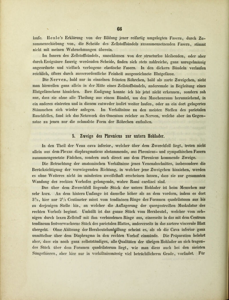 laufe. Henle’s Erklärung- von der Bildung jener reifartig umgelegten Fasern, durch Zu- sammenschiebung von, die Scheide des Zellstolfbündels zusammensetzenden Fasern, stimmt nicht mit meinen Wahrnehmungen überein. Im Innern des Zellstoffbündels, umschlossen von der structurlos bleibenden, oder aber durch Essigsäure faserig werdenden Scheide, finden sich stets zahlreiche, ganz unregelmässig angeordnete und vielfach verbogene elastische Fasern. In den dickem Bündeln verlaufen reichlich, öfters durch ausserordentliche Feinheit ausgezeichnete Blutgefässe. Die Nerven, bald nur in einzelnen feinsten Röhrchen, bald als zarte Zweigehen, sieht man bisweilen ganz allein in der Mitte eines Zellstolfbündels, anderemale in Begleitung eines Blutgefässchens hinziehen. Ihre Endigung konnte ich bis jetzt nicht erkennen, sondern sah nur, dass sie ohne alle Theilung aus einem Bündel, um den Maschenraum herumziehend, in ein anderes eintreten und in diesem entweder isolirt weiter laufen, oder an ein dort gelagertes Stämmchen sich wieder anlegen. Im Verhältnisse zu den meisten Stellen des parietalen Bauchfelles, fand ich das Netzwerk des Omentum reicher an Nerven, welche aber im Gegen- sätze zu jenen nur die schmälste Form der Röhrchen enthalten. 5. Zweige des Phrenicus zur untern Hohlader. In den Theil der Vena cava inferior, welcher über dem Zwerchfell liegt, treten nicht allein aus dem Plexus diaphragmaticus abstammende, aus Phrenicus-und sympathischen Fasern zusammengesetzte Fädchen, sondern auch direct aus dem Phrenicus kommende Zweige. Die Betrachtung der anatomischen Verhältnisse jenes Venenabschniltes, insbesondere die Berücksichtigung der vorwiegenden Richtung, in welcher jene Zweigehen hinziehen, werden es ohne Weiteres nicht im mindesten zweifelhaft erscheinen lassen, dass sie zur gesammten Wandung des rechten Vorhofes gelangende, wahre Rami cardiaci sind. Das über dem Zwerchfell liegende Stück der untern Hohlader ist beim Menschen nur sehr kurz. An dem hintern Umfange ist dasselbe höher als an dem vordem, indem es dort 3’/2, hier nur 2l/i Centimeter misst vom tendinösen Ringe desForamen quadrilatuum aus bis zu derjenigen Stelle hin, an welcher die Auflagerung der quergestreiften Muskulatur des rechten Vorhofs beginnt. Umhüllt ist das ganze Stück vom Herzbeutel, welcher vom seh- nigen durch laxen Zellstoff mit ihm verbundenen Ringe aus, einerseits in das mit dem Centrum tendineum festverwachsene Stück des parietalen Blattes, andererseits in das zartere viscerale Blatt übergeht. Ohne Ablösung der Herzbeutelumh^llung scheint es, als ob die Cava inferior ganz unmittelbar über dem Diaphragma in den rechten Vorhof einmünde. Die Präparation belehrt aber, dass ein noch ganz selbstständiges, alle Qualitäten der übrigen Hohlader an sich tragen- des Stück über dem Foramen quadrilaterum liegt, wie man diess auch bei den meisten Säugethieren, aber hier nur in verhältnissmässig viel beträchtlichem! Grade, vorfindet. Für